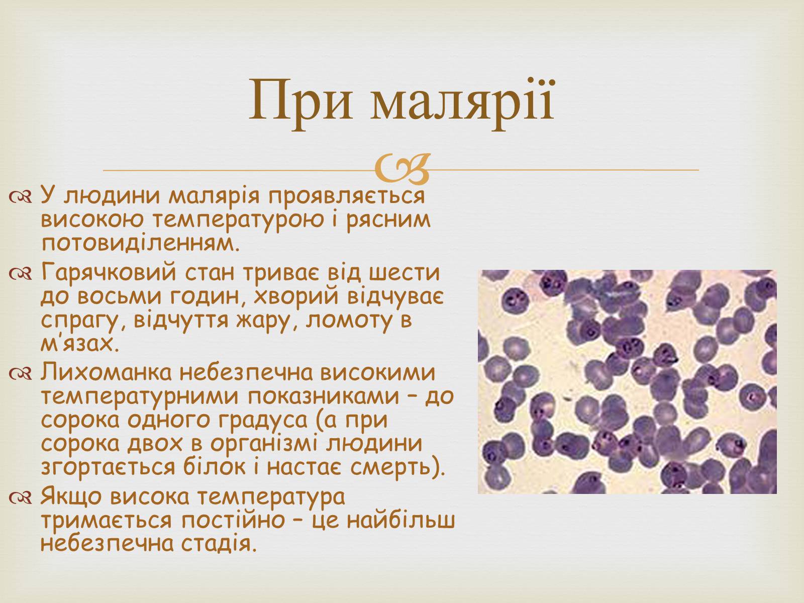 Презентація на тему «Малярійний плазмодій» - Слайд #5