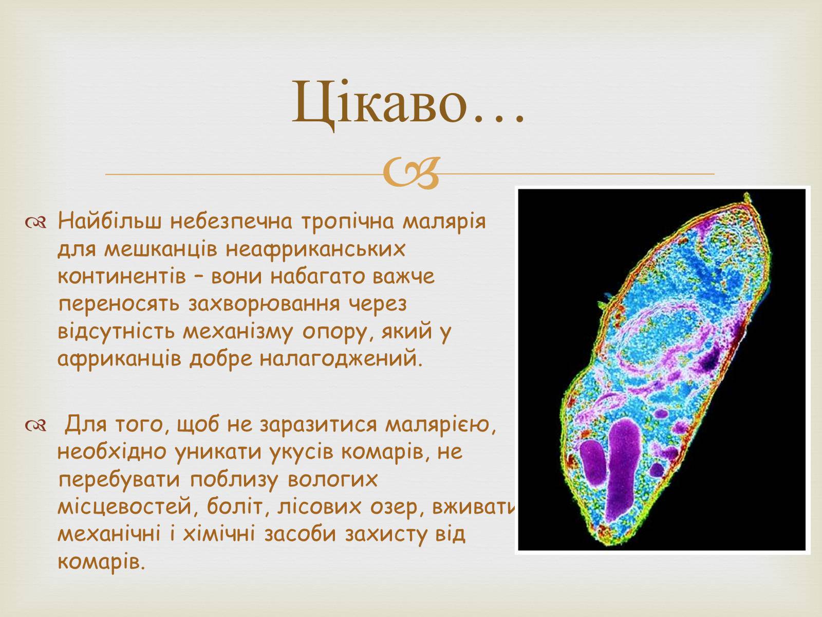 Презентація на тему «Малярійний плазмодій» - Слайд #6