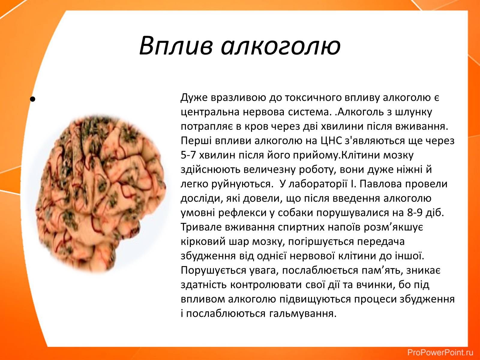 Презентація на тему «Вплив алкоголю та нікотину на нервову систему» - Слайд #2