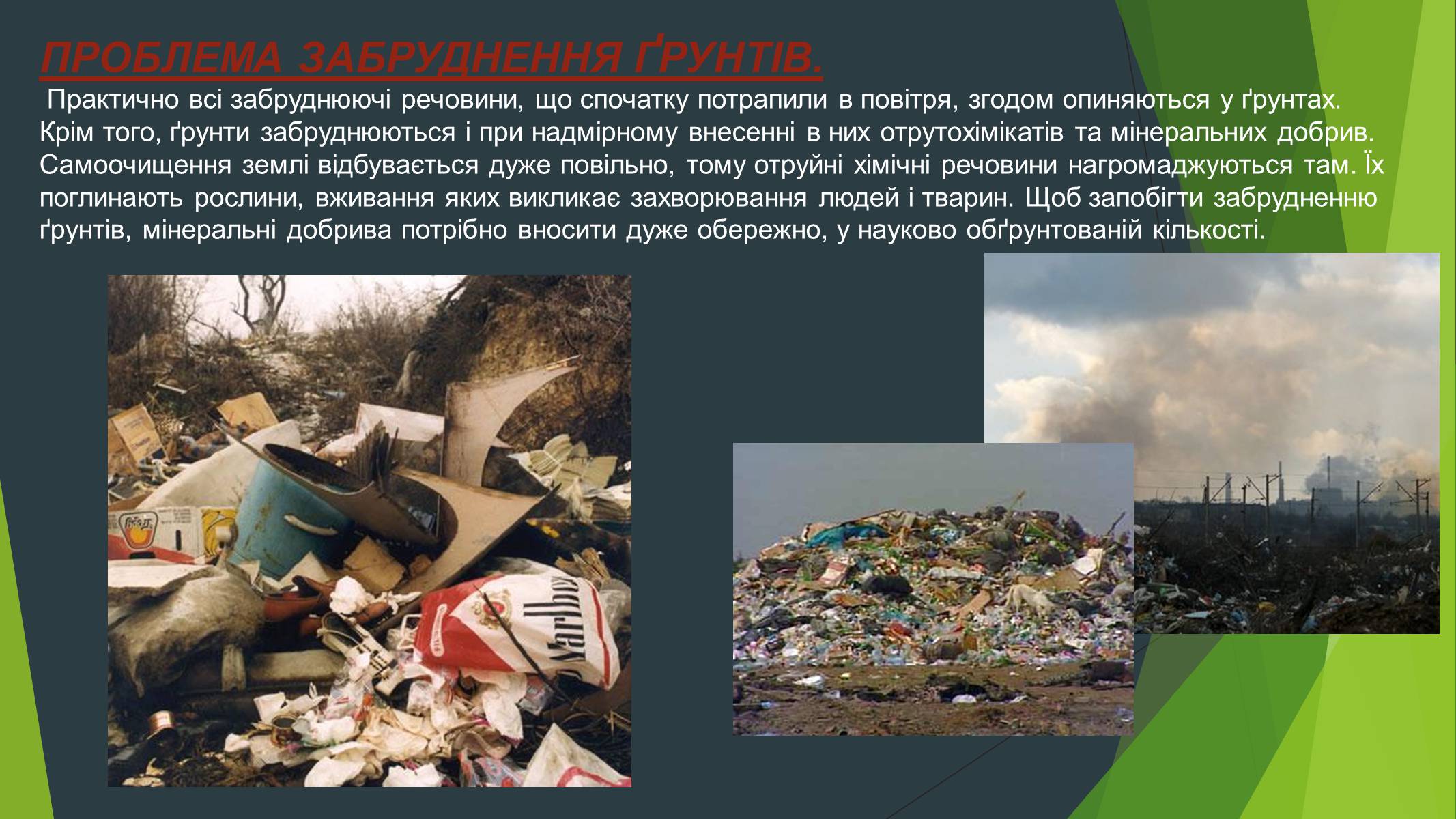 Презентація на тему «Забруднення навколишнього середовища» (варіант 3) - Слайд #5