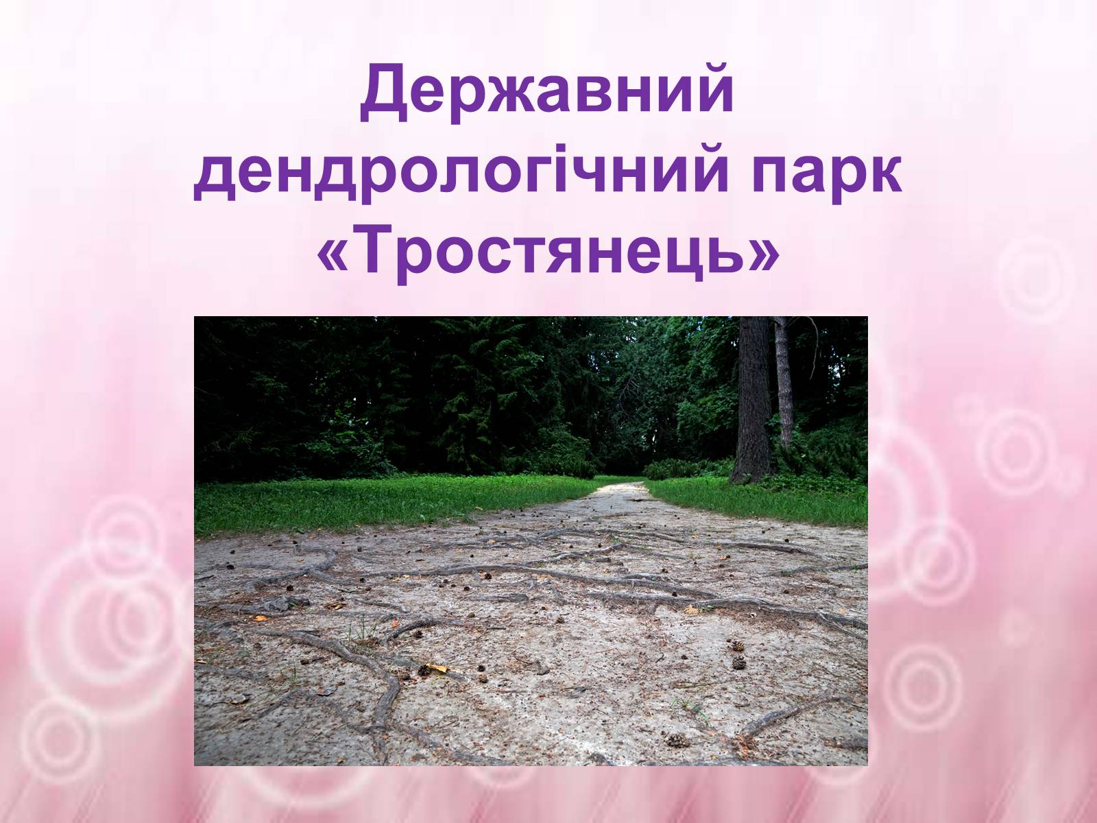 Презентація на тему «Державний дендрологічний парк «Тростянець»» - Слайд #1