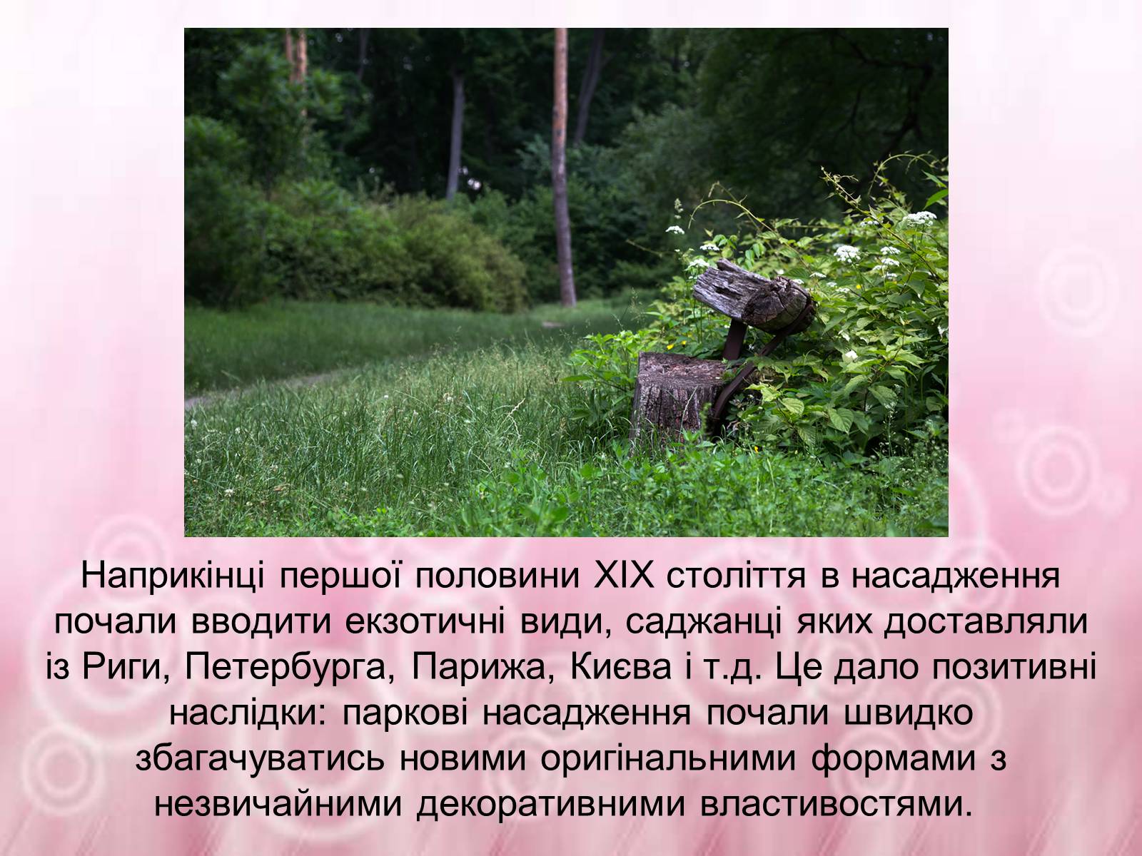 Презентація на тему «Державний дендрологічний парк «Тростянець»» - Слайд #8