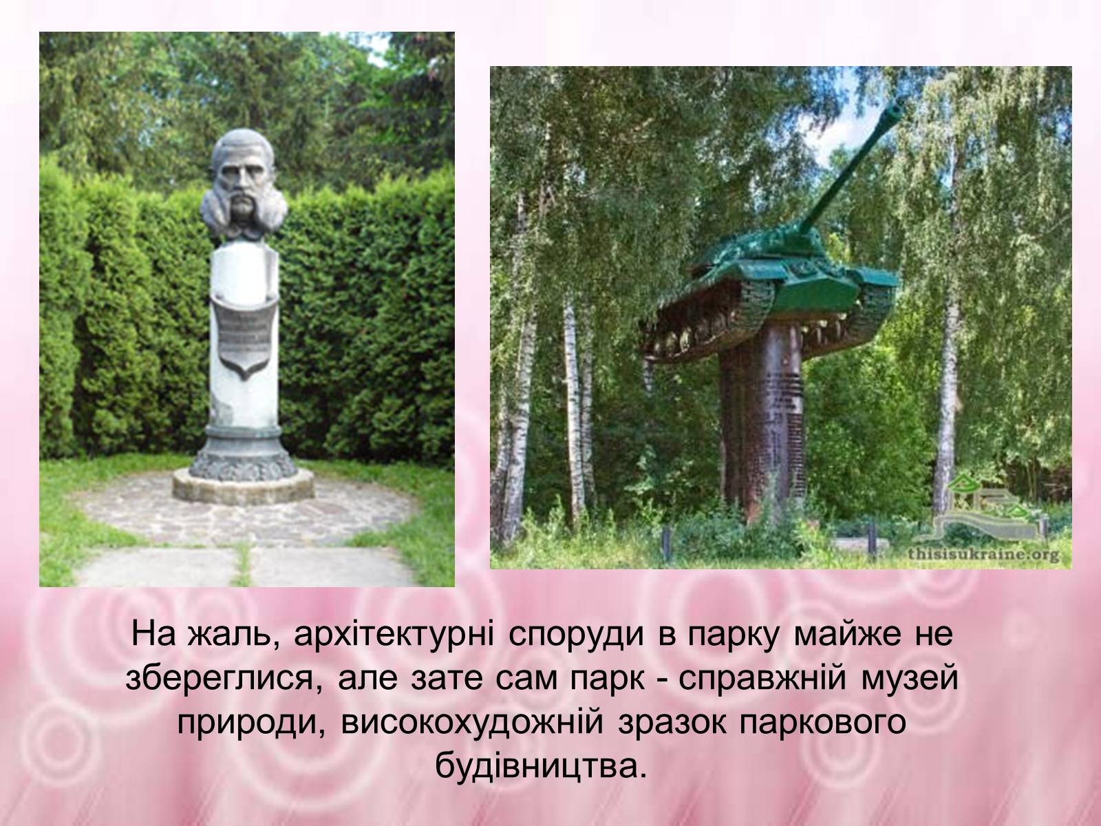 Презентація на тему «Державний дендрологічний парк «Тростянець»» - Слайд #11