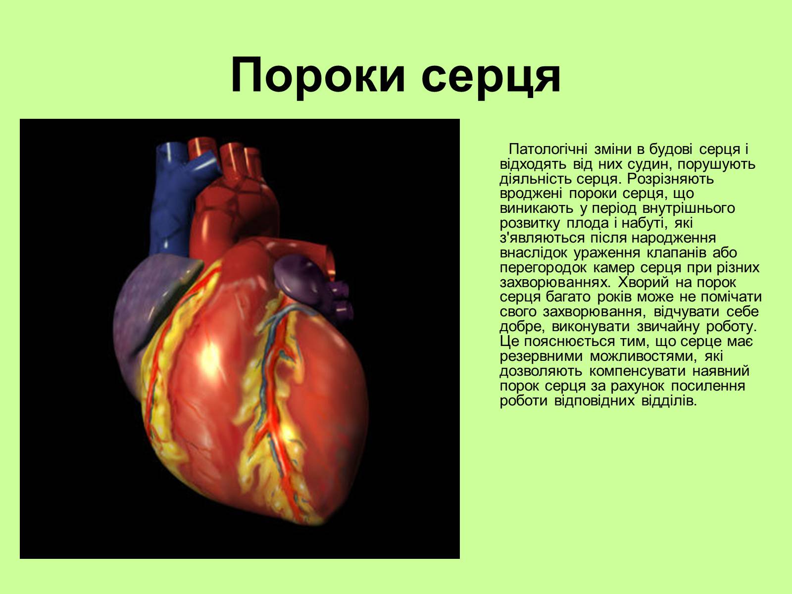 Презентація на тему «Хвороби серцево-судинної системи» (варіант 1) - Слайд #6