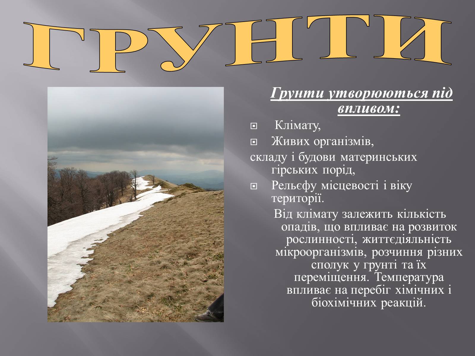 Презентація на тему «Українські Карпати» (варіант 2) - Слайд #10