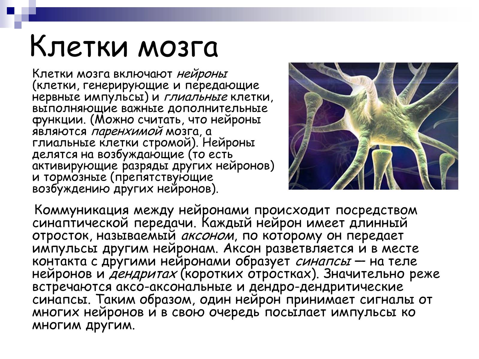 Презентація на тему «Человеский мозг» - Слайд #6