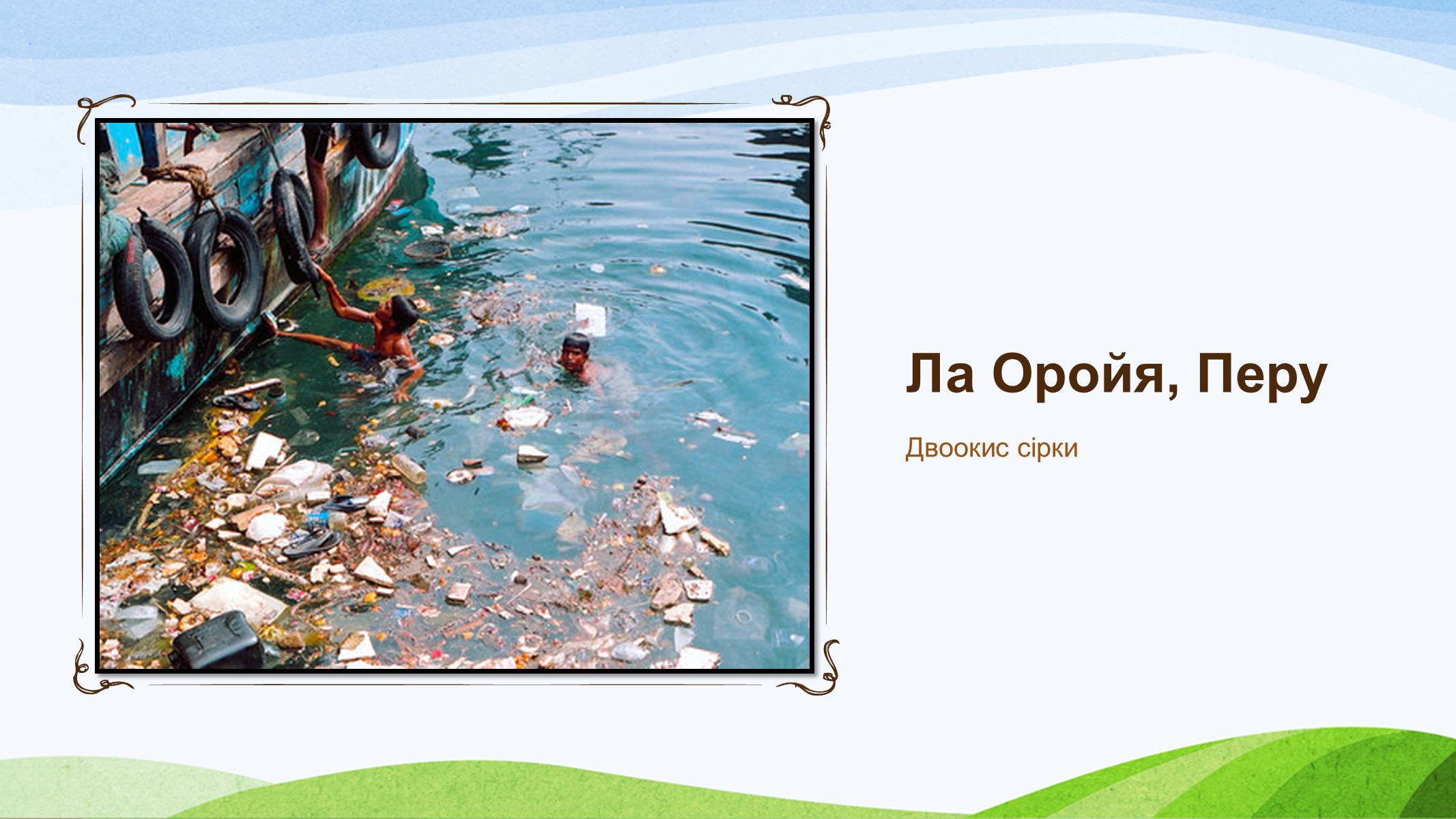 Презентація на тему «Забруднення України» - Слайд #24