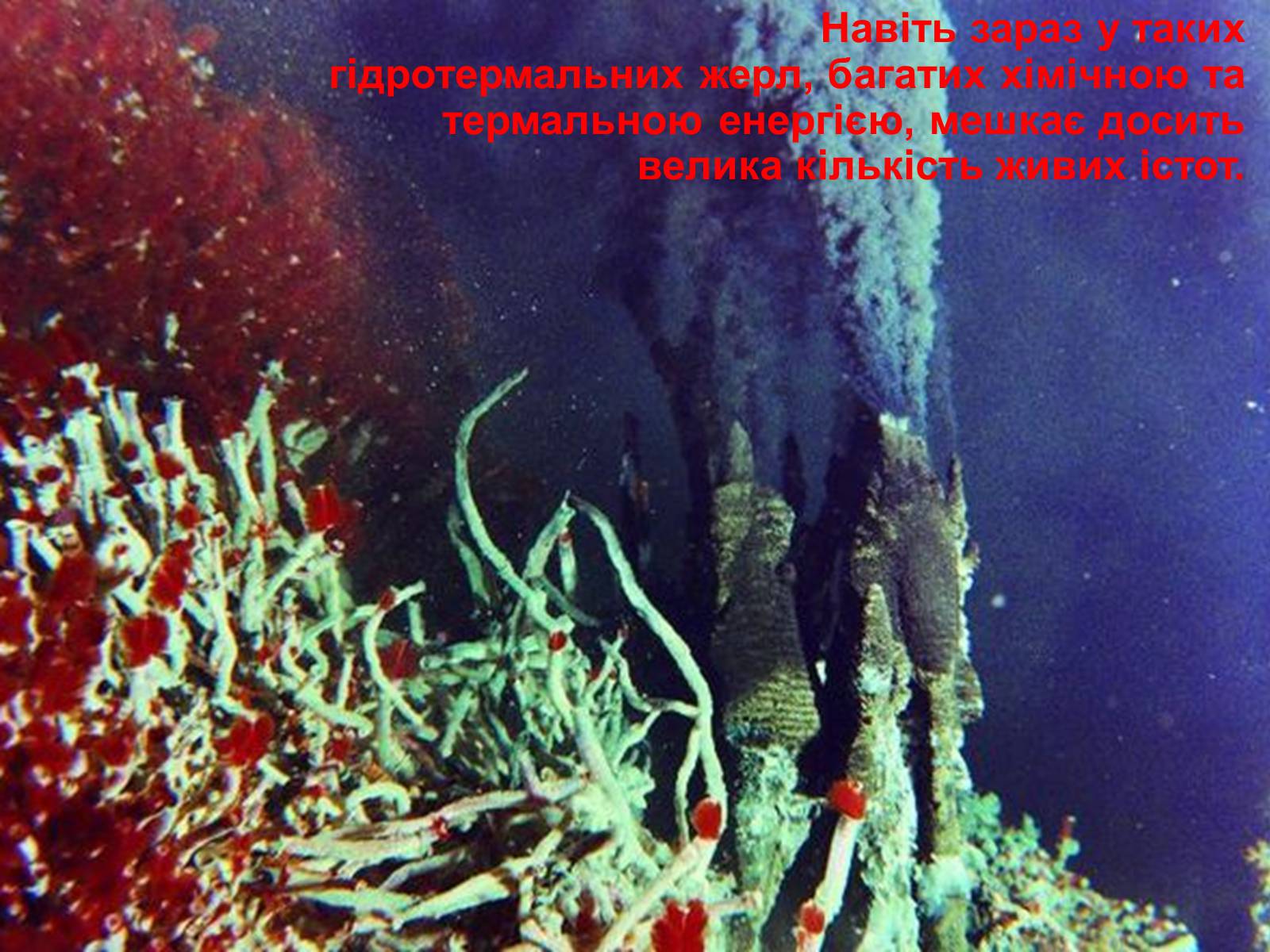 Черные курильщики океана. Черные курильщики». Гидротермальные источники в океане.. Тихий океан гидротермальные источники. Черные курильщики. Чёрные курильщики на дне океанов.
