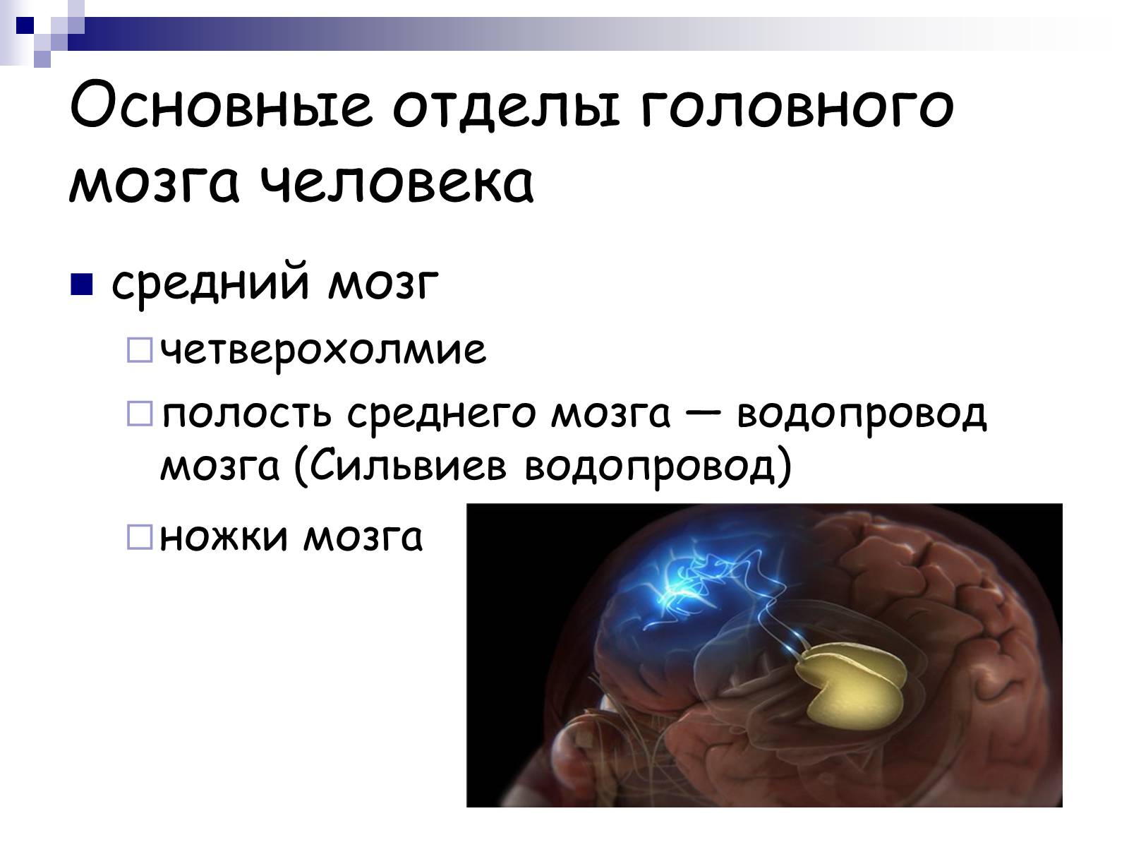 Презентація на тему «Человеский мозг» - Слайд #11