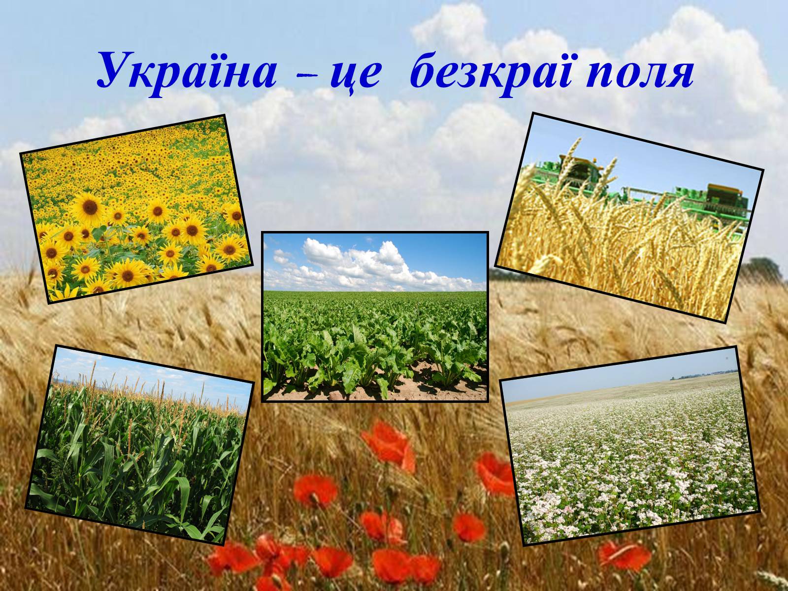 Презентація на тему «Твоя країна — Україна, і ти — її громадянин» - Слайд #14