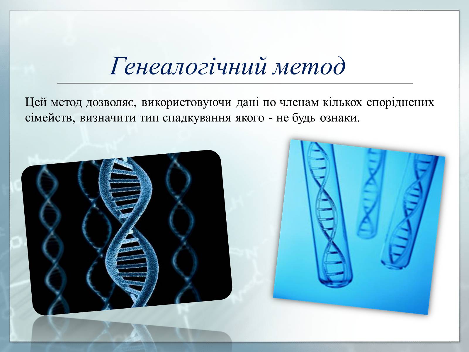 Презентація на тему «Генетика» (варіант 3) - Слайд #7