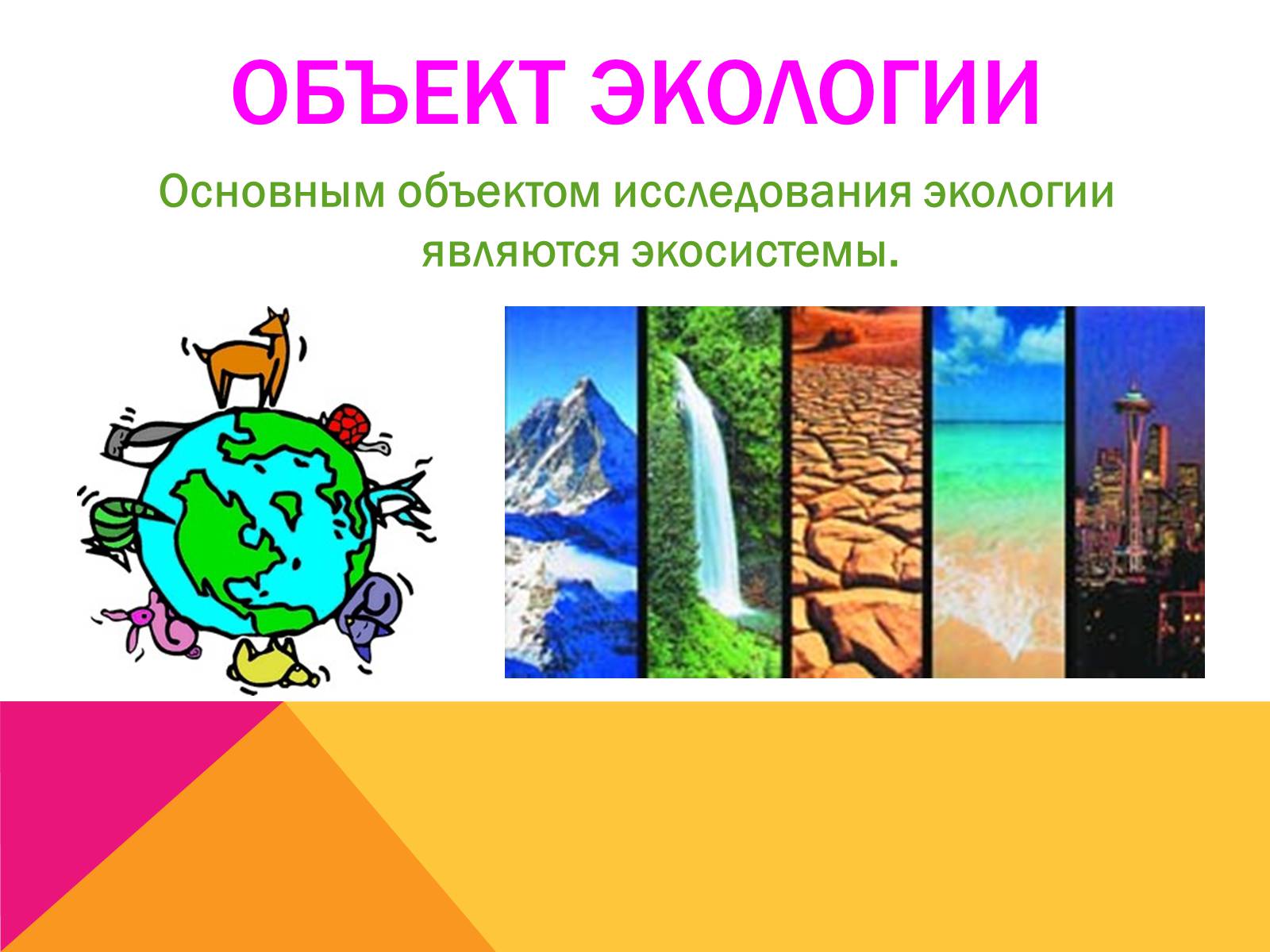 Презентація на тему «Экология, как наука: ее предмет и задачи» - Слайд #5