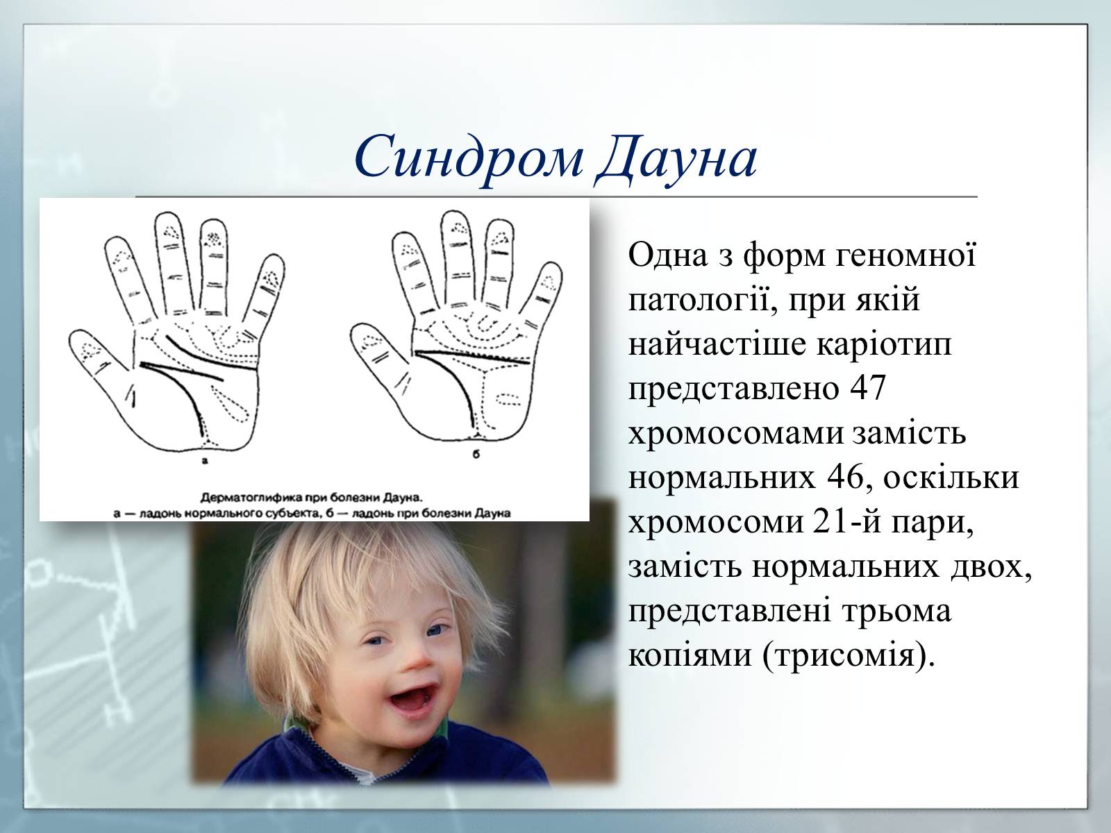 Презентація на тему «Генетика» (варіант 3) - Слайд #13
