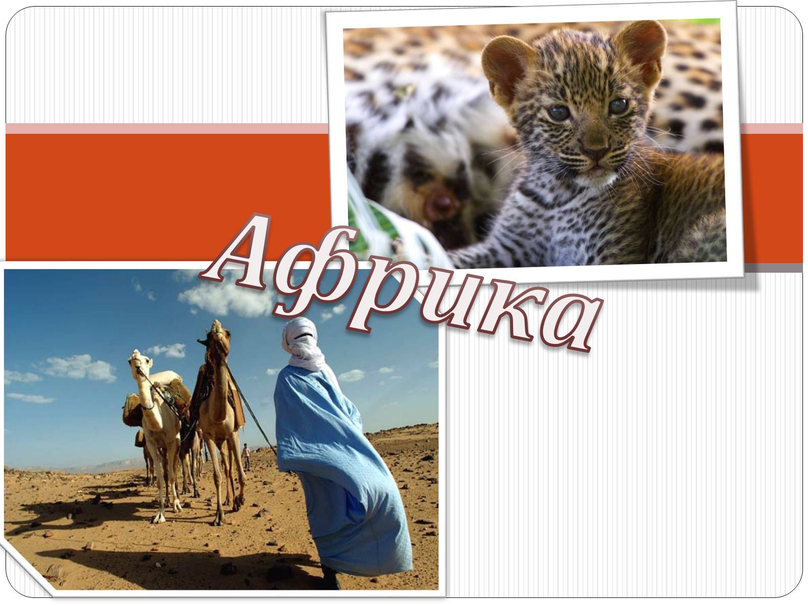 Презентація на тему «Африка» (варіант 7) - Слайд #1
