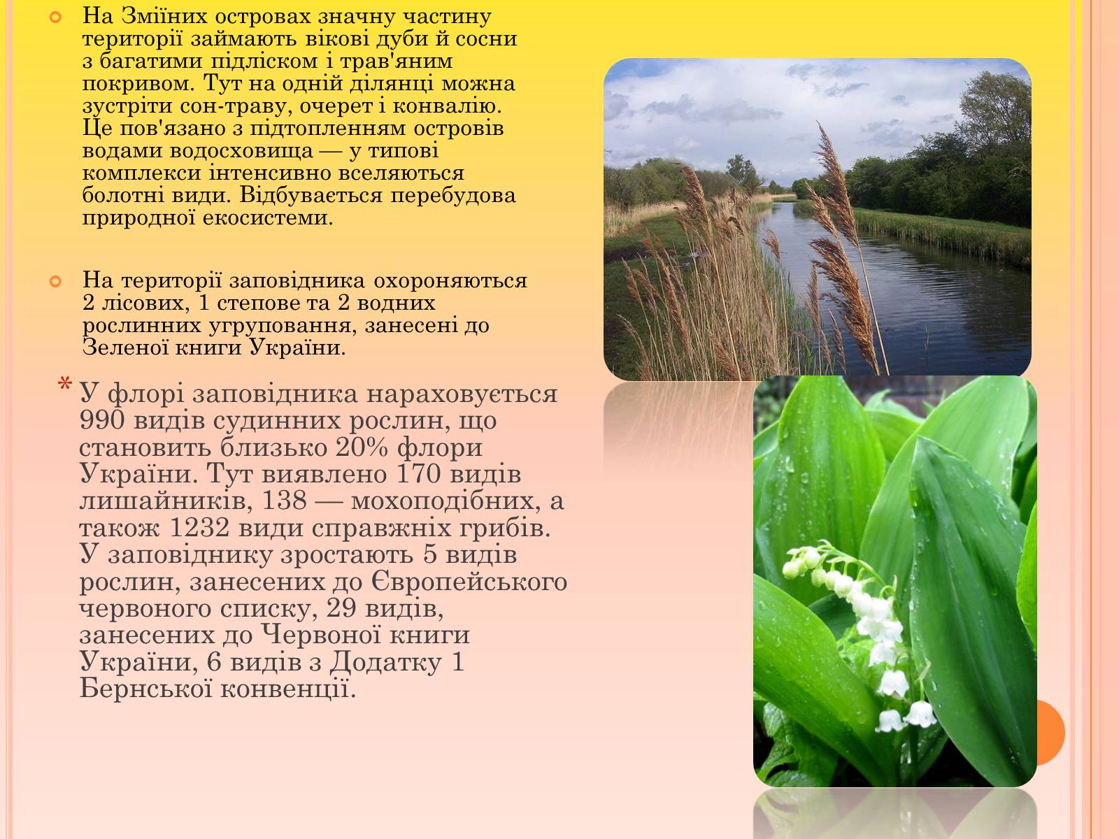 Презентація на тему «Канівський природний заповідник» - Слайд #13