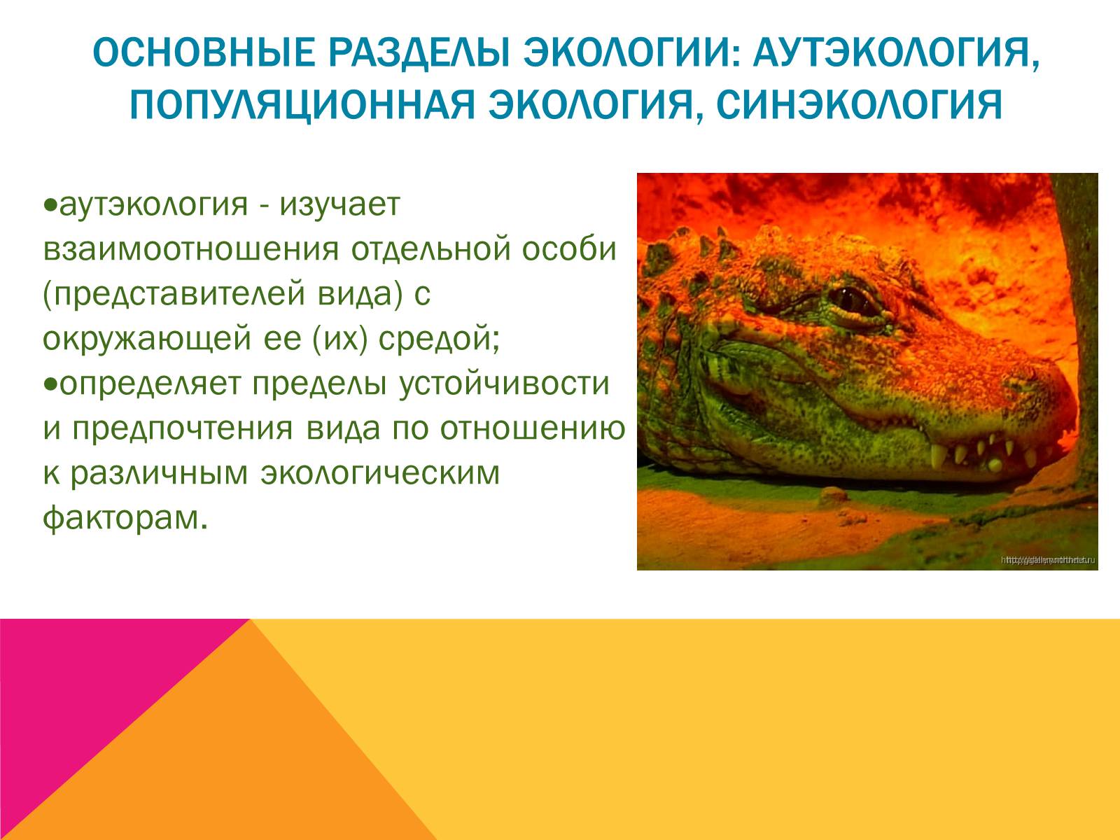 Презентація на тему «Экология, как наука: ее предмет и задачи» - Слайд #19