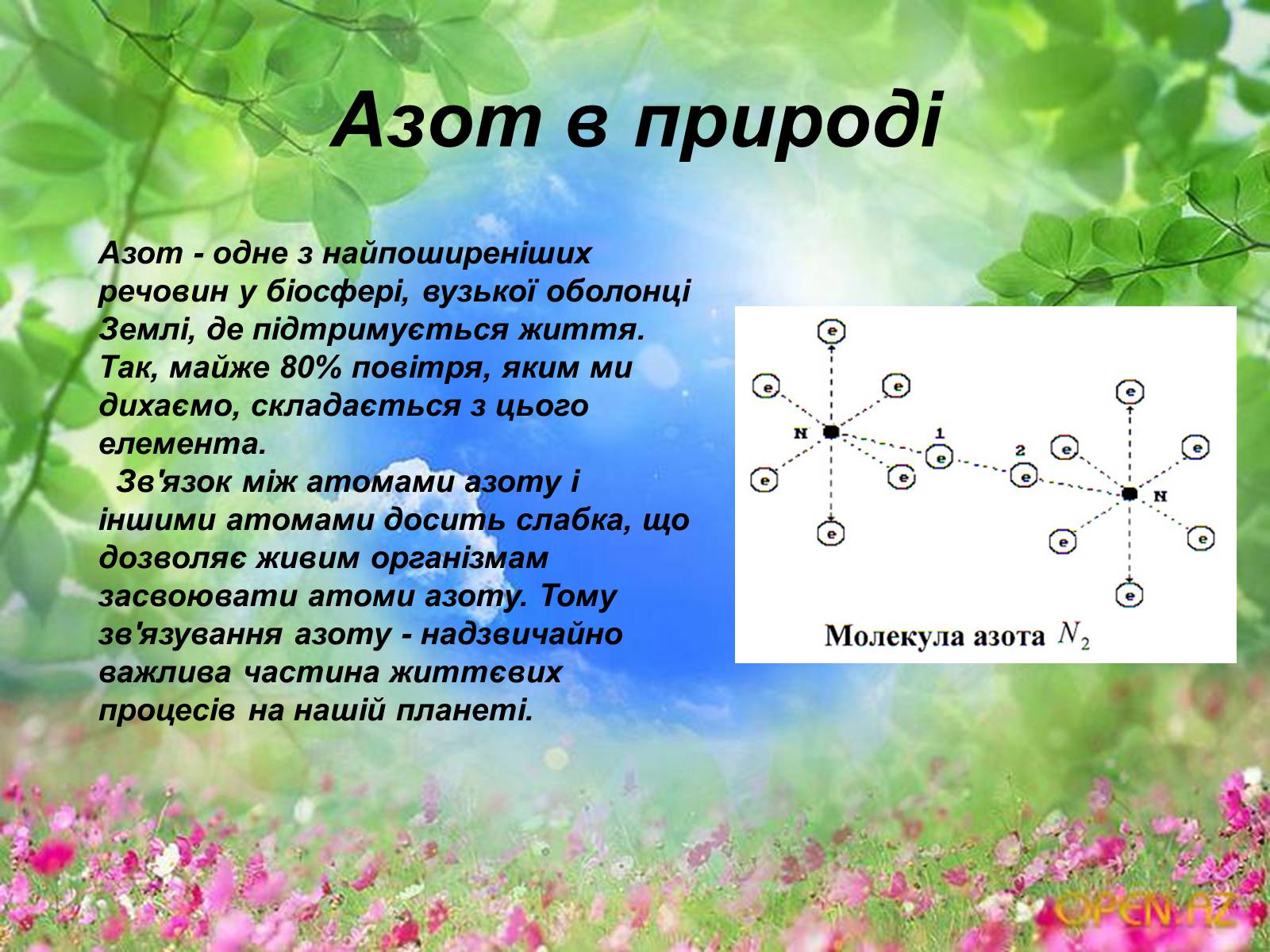 Презентація на тему «Схеми колообігу основних речовин у природі» - Слайд #7