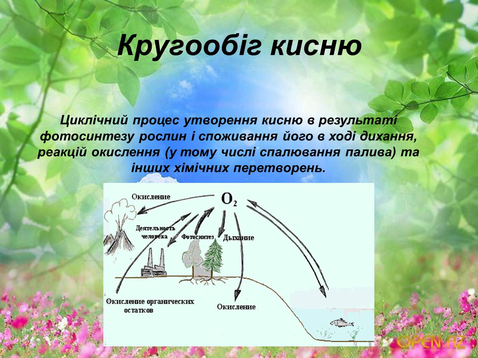 Презентація на тему «Схеми колообігу основних речовин у природі» - Слайд #10