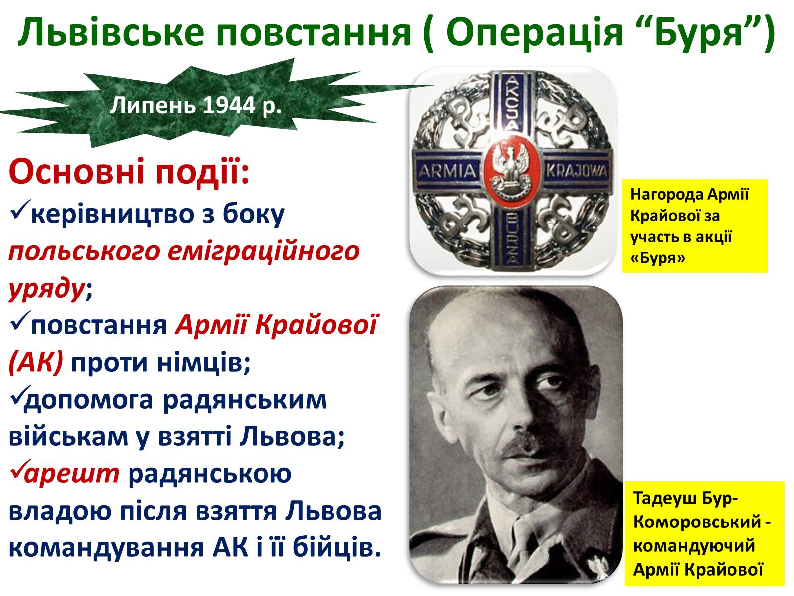Презентація на тему «Визволення України від нацистських загарбників» - Слайд #51