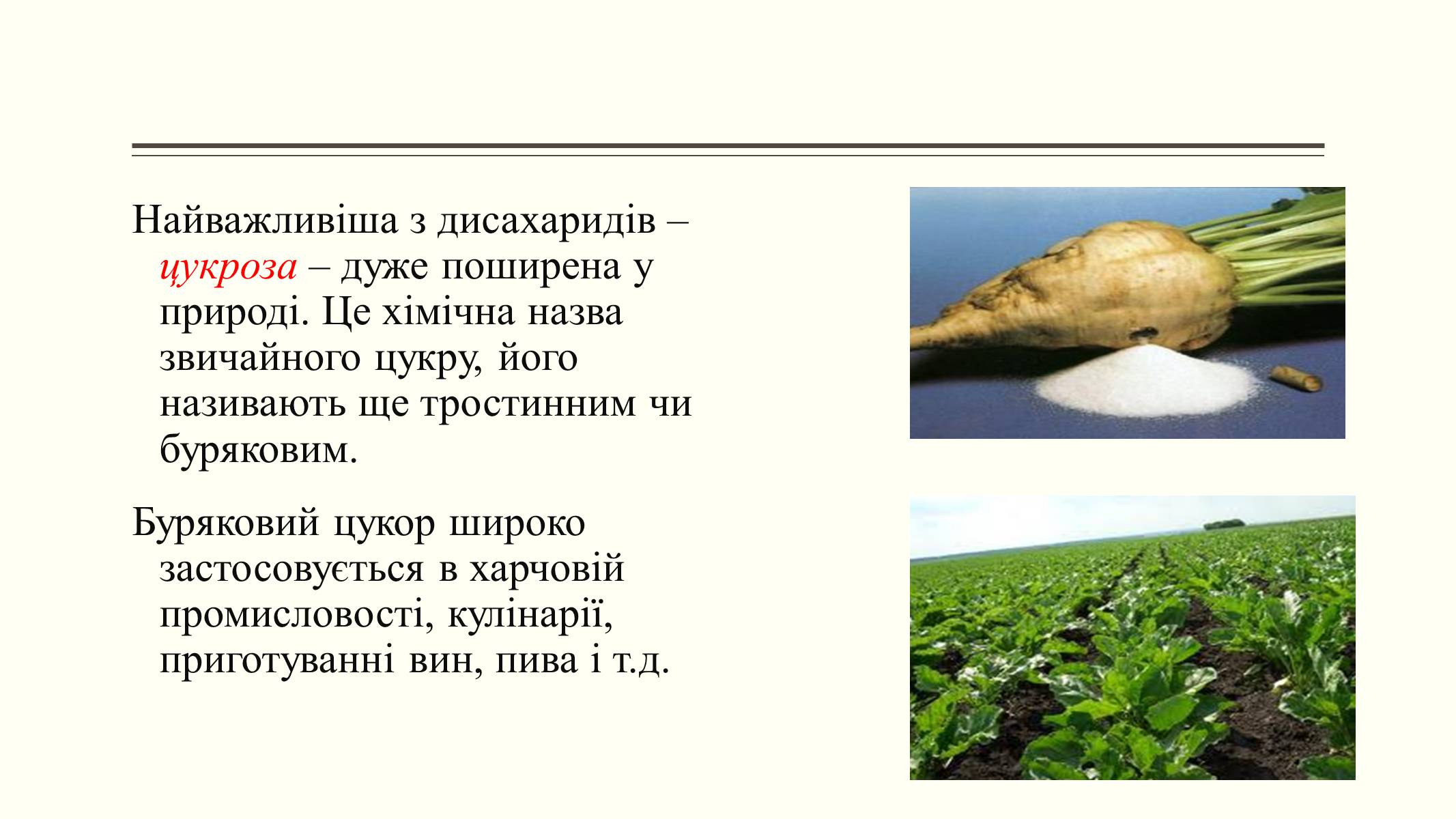 Презентація на тему «Вуглеводи як компоненти їжі, їх роль у житті людини» (варіант 6) - Слайд #15