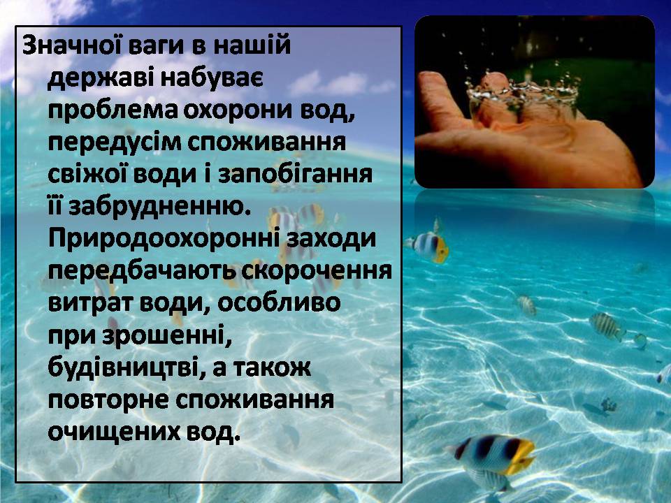 Презентація на тему «Сучасні проблеми природокористування в Україні» - Слайд #11