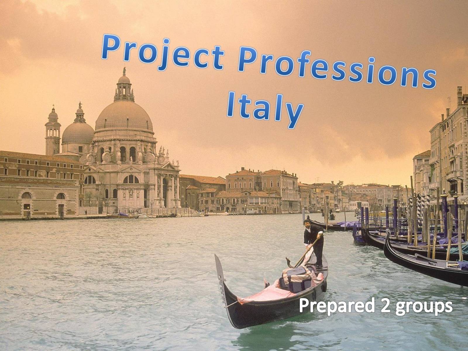 Презентація на тему «Project Professions Italy» - Слайд #1