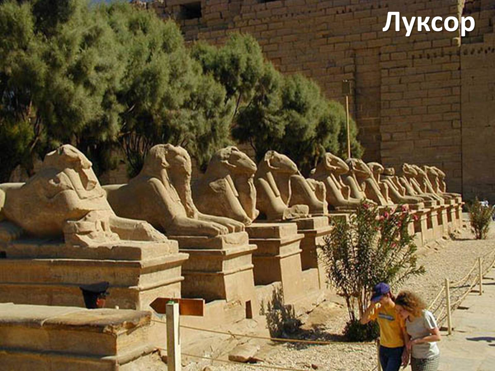 Презентація на тему «Єгипет» (варіант 1) - Слайд #7