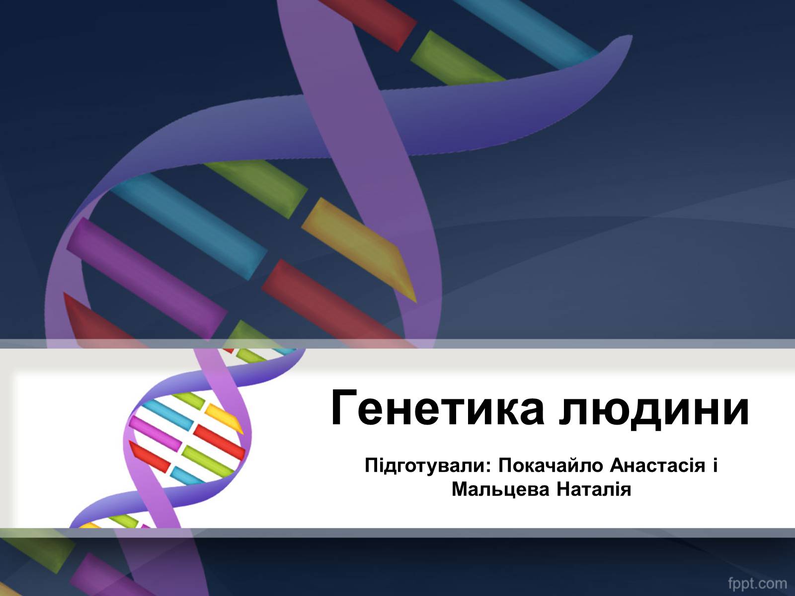 Презентація на тему «Генетика» (варіант 11) - Слайд #1