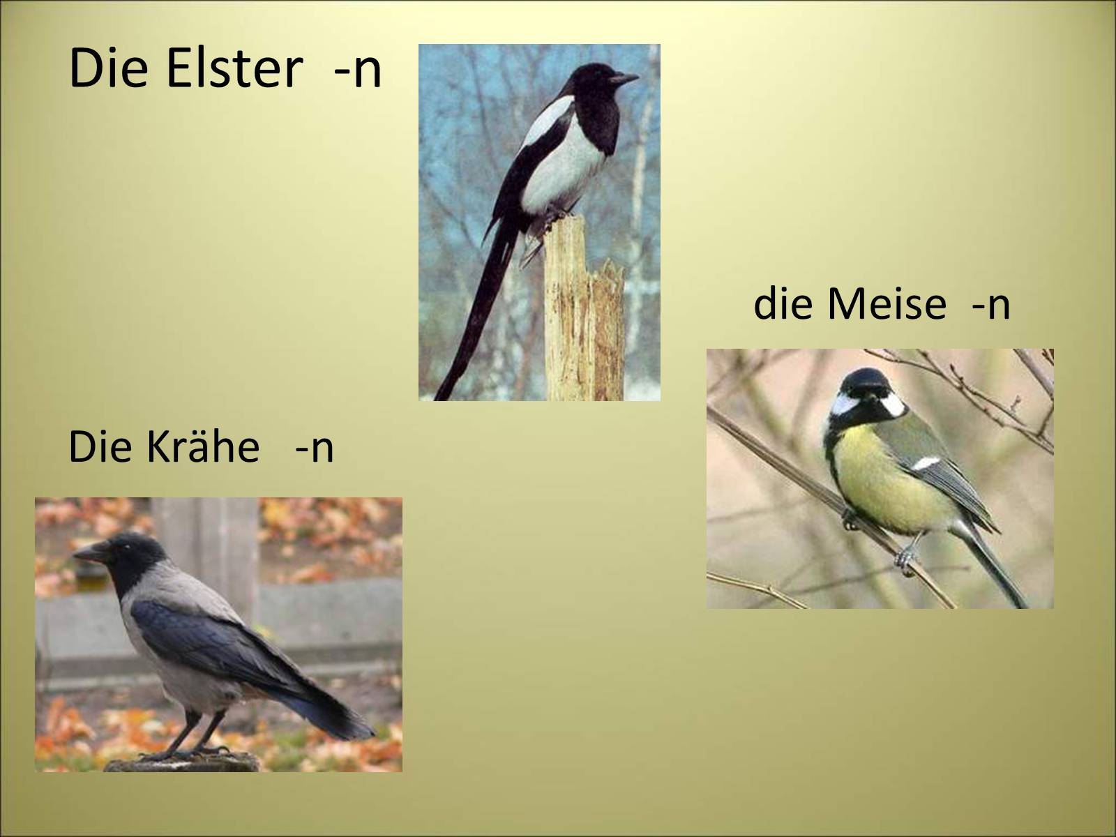 Презентація на тему «Es herbstet schon» - Слайд #8