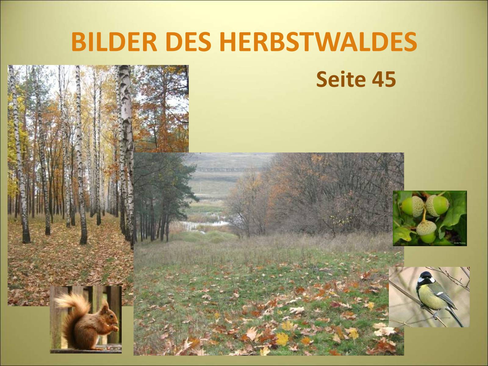 Презентація на тему «Es herbstet schon» - Слайд #16