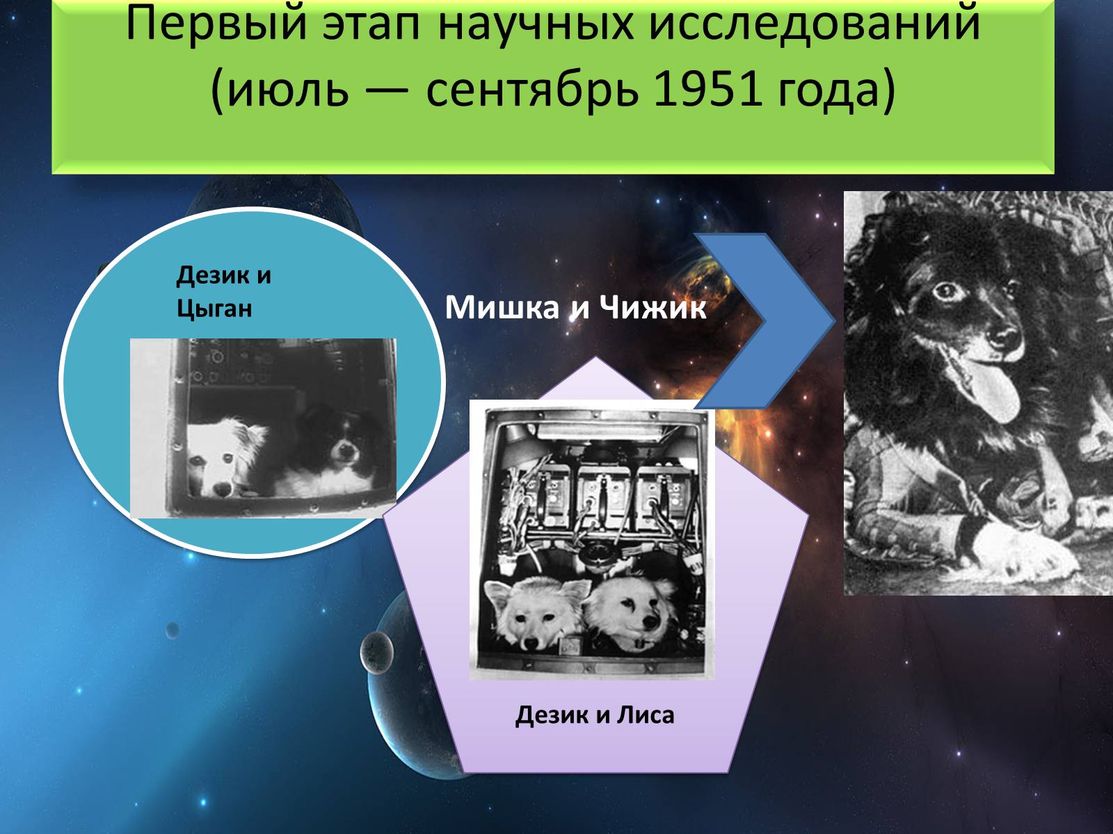 Презентація на тему «Животные в космосе» - Слайд #4