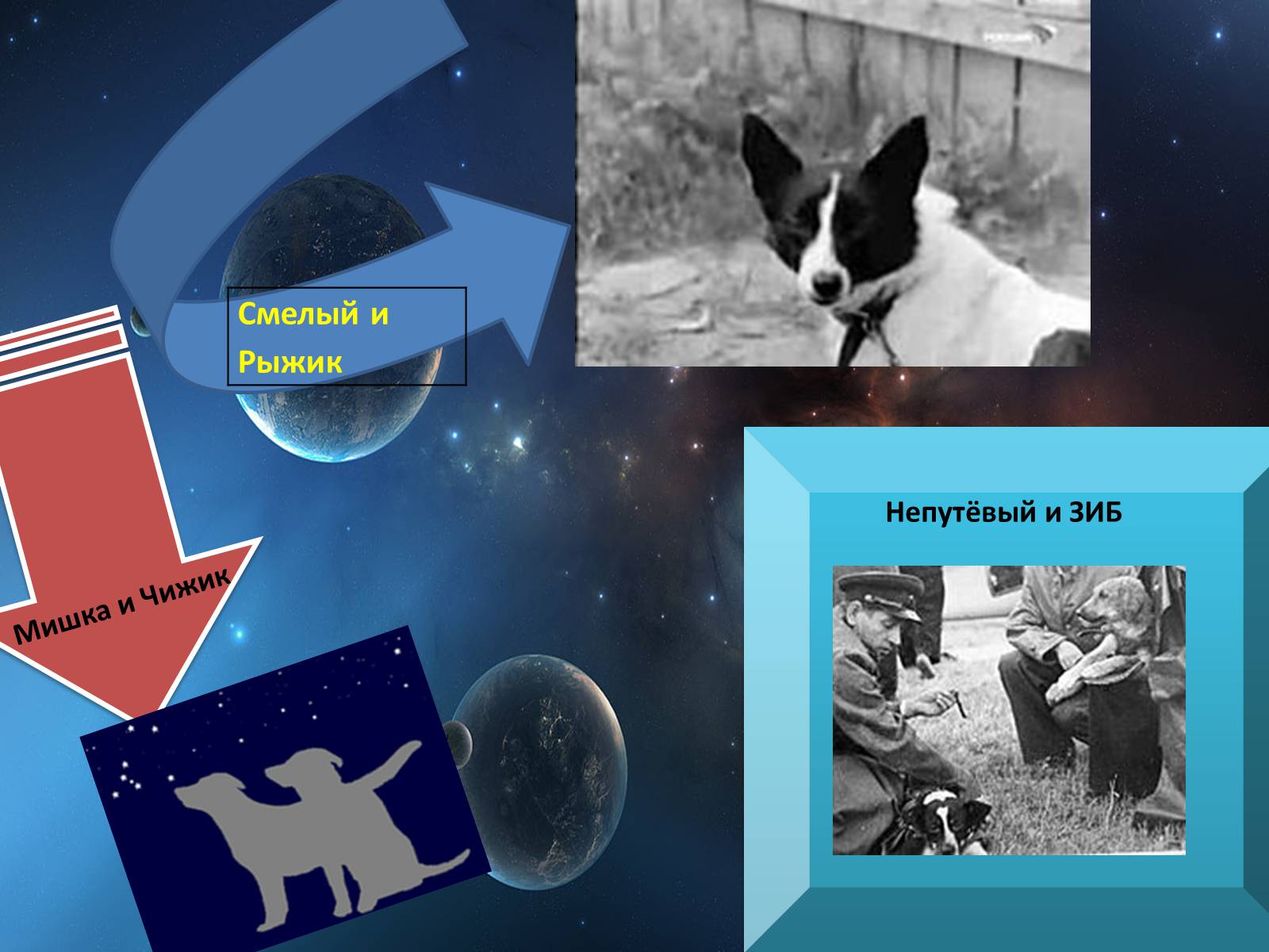 Презентація на тему «Животные в космосе» - Слайд #5