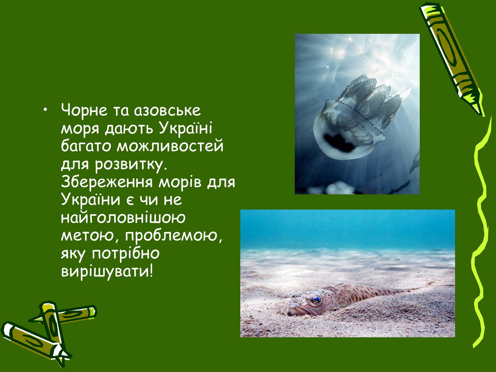 Презентація на тему «Збереження Чорного та Азовського морів» - Слайд #12