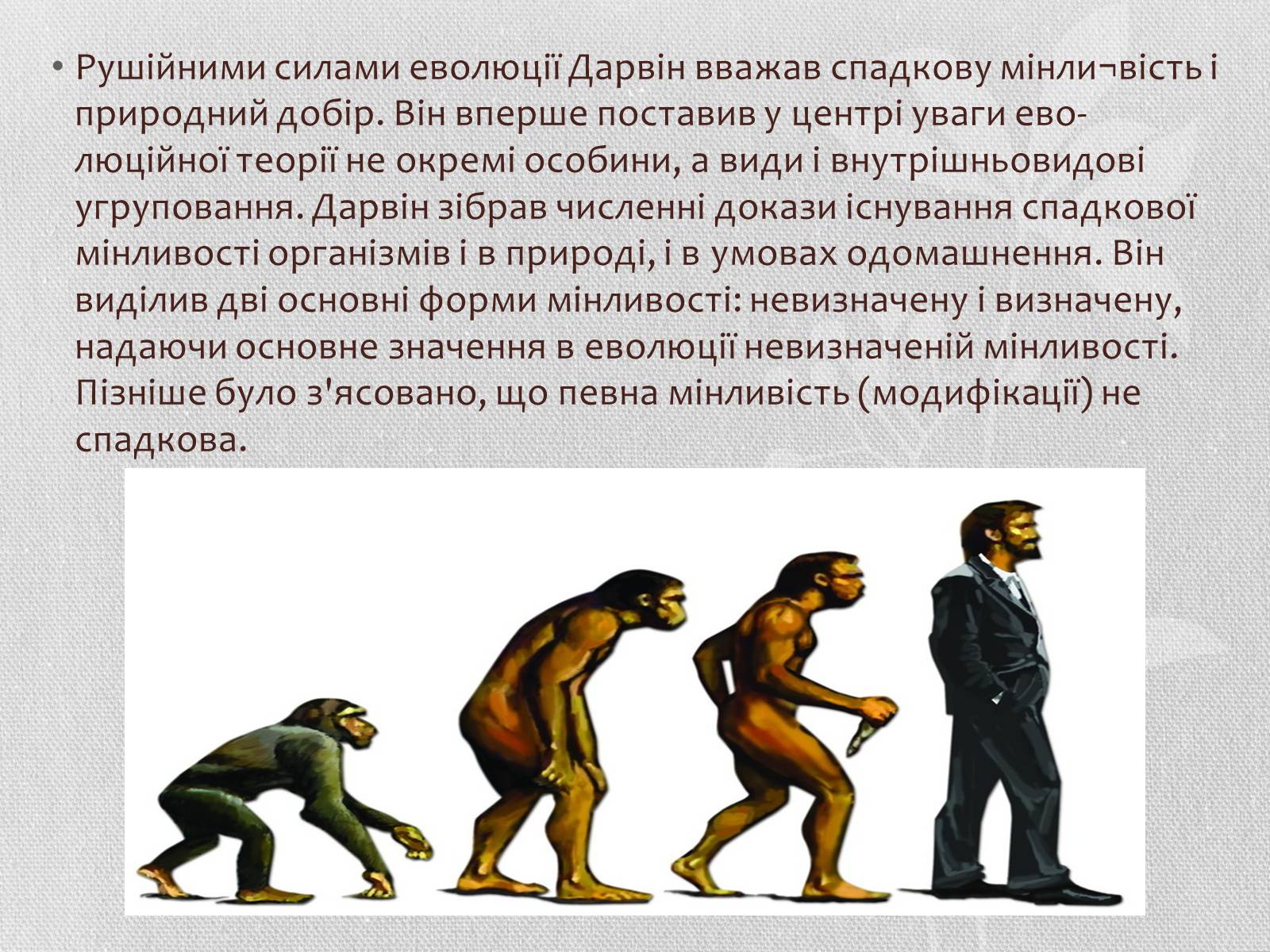 Эволюция человеческой расы. Эволюция развития человека. Доказательства теории Дарвина. Теория Дарвина о происхождении человека. Сторонники теории Дарвина о происхождении человека.