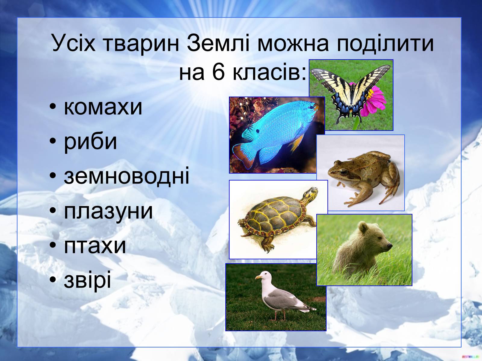 Презентація на тему «Різноманітність тварин у природі» - Слайд #2