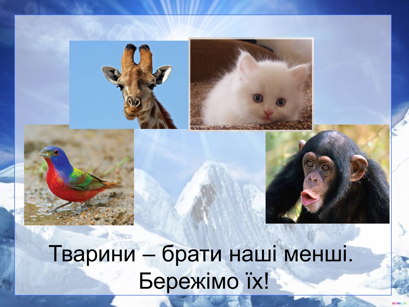 Презентація на тему «Різноманітність тварин у природі» - Слайд #9
