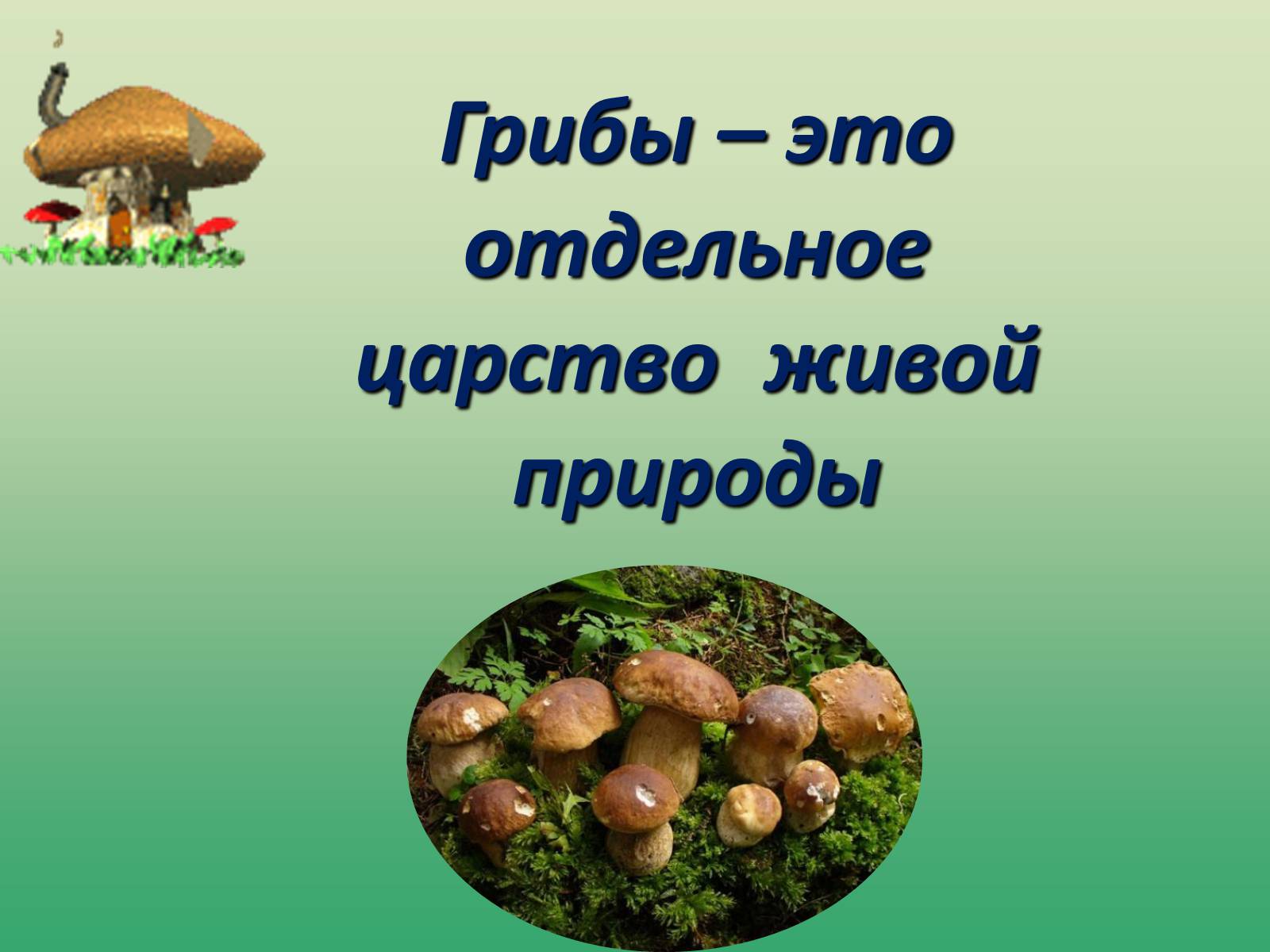 Окружающий мир класс грибы. Царство живой природы грибы примеры. Спасибо за внимание для презентации по биологии грибы.