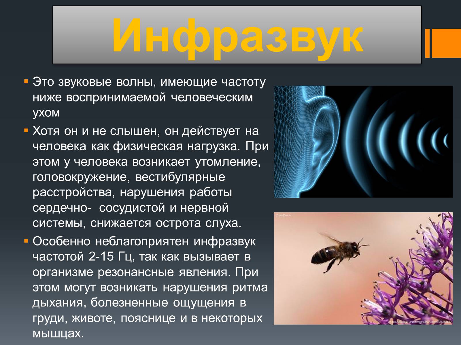 Презентація на тему «Акустический шум и его воздействие на организм человека» - Слайд #8