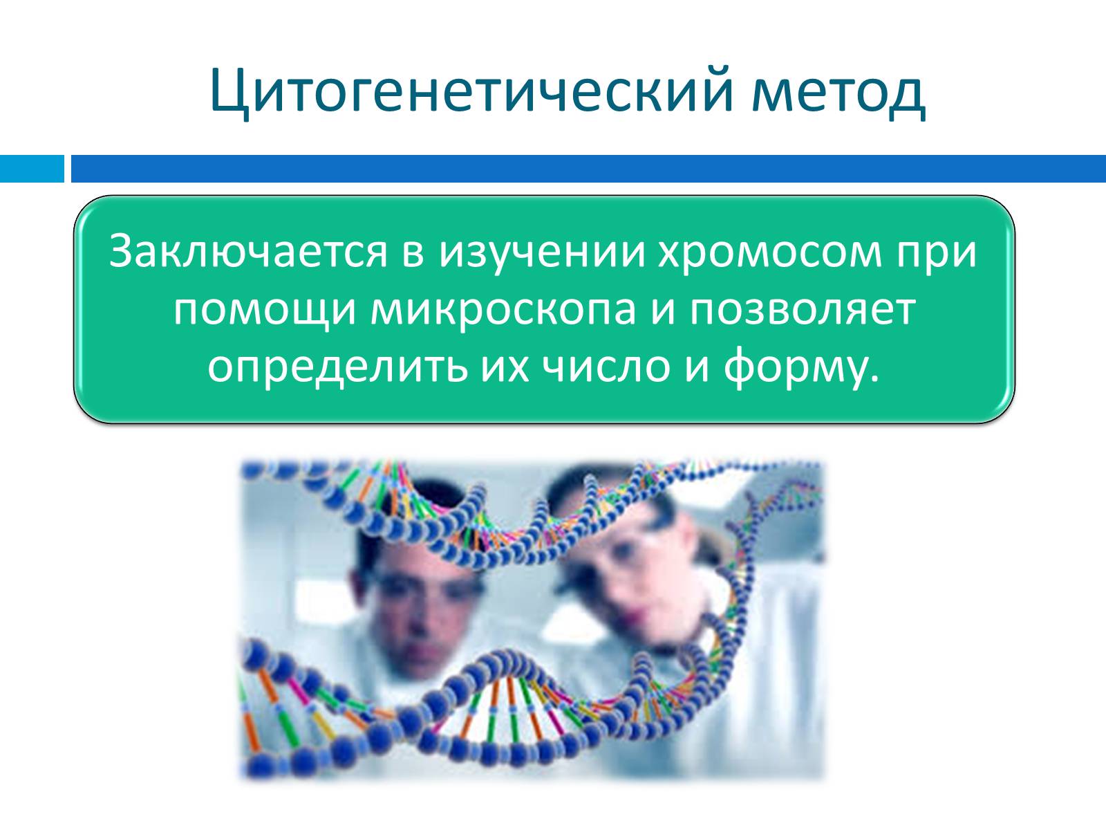 Презентація на тему «Генетика» (варіант 8) - Слайд #9