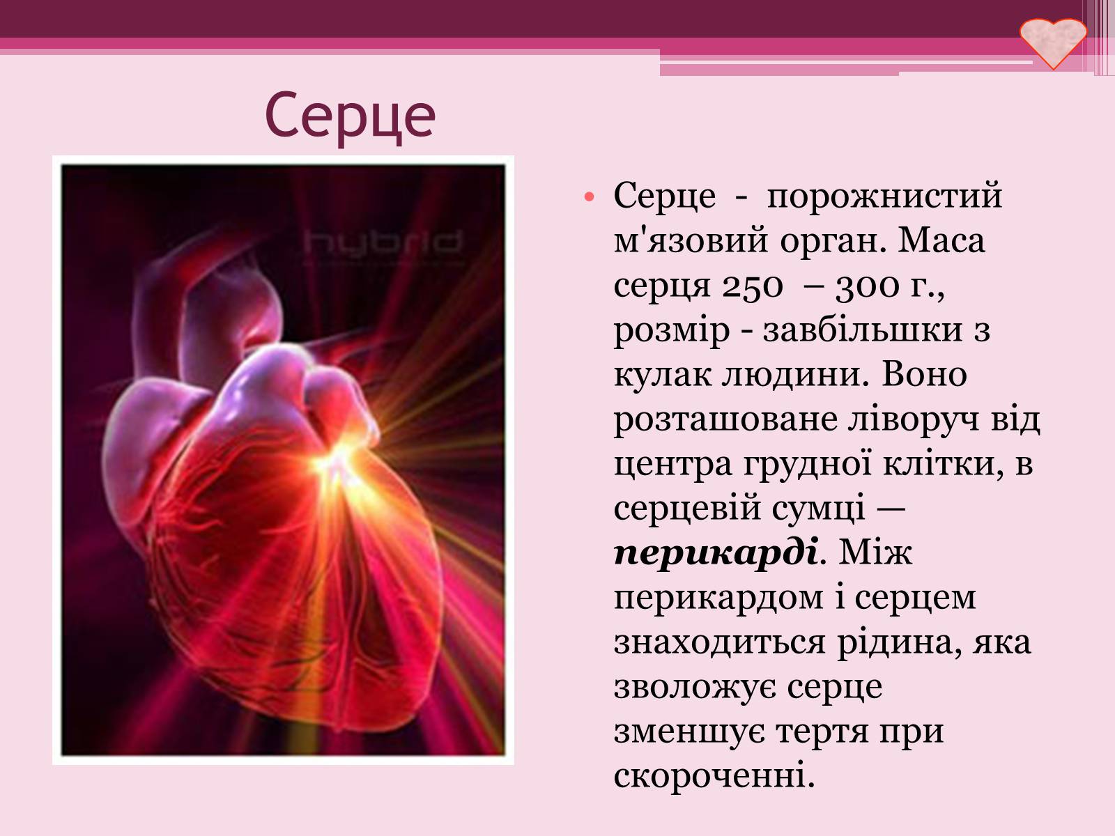 Презентація на тему «Серце» - Слайд #3