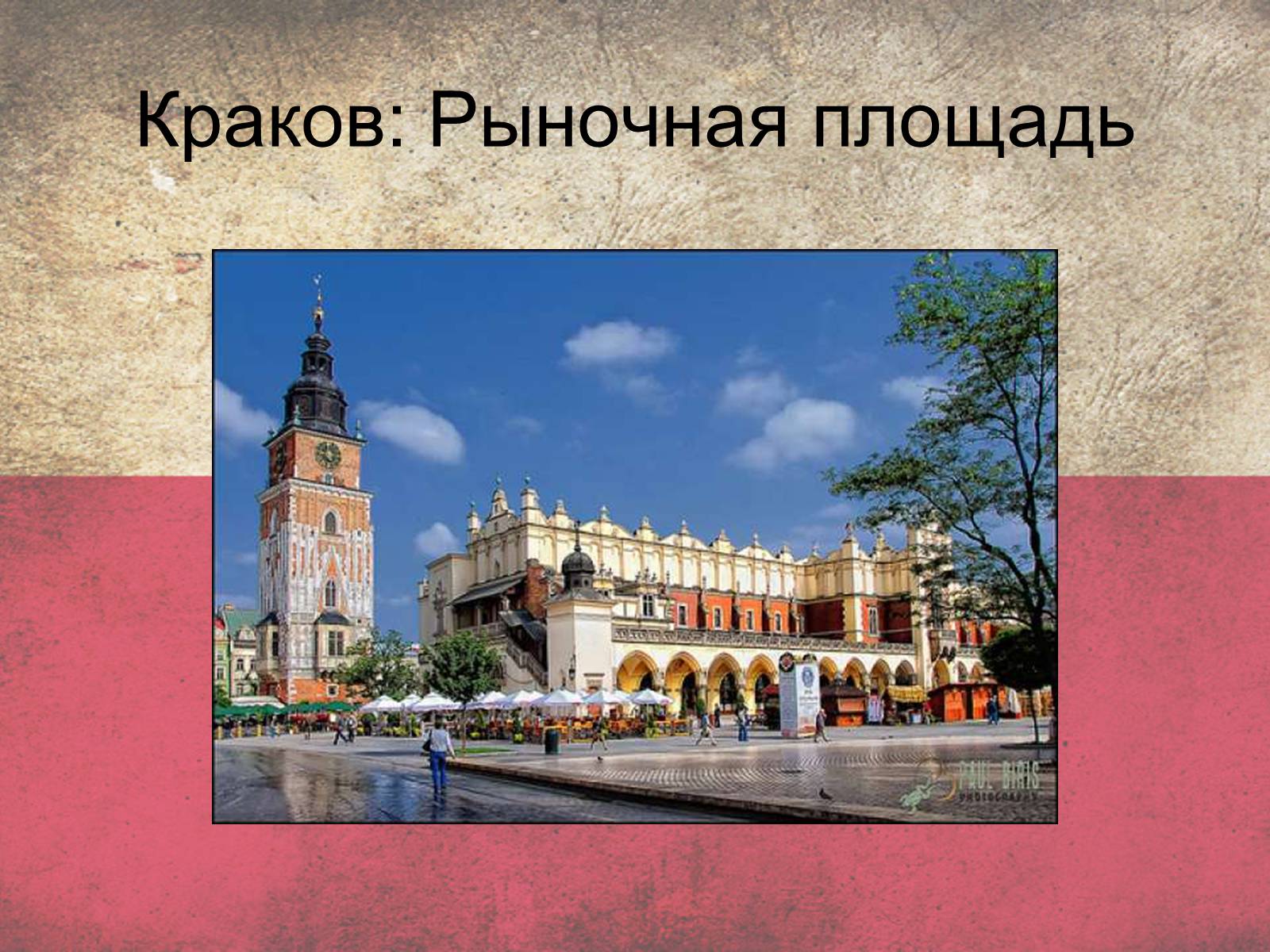 Презентація на тему «Польща» (варіант 5) - Слайд #20