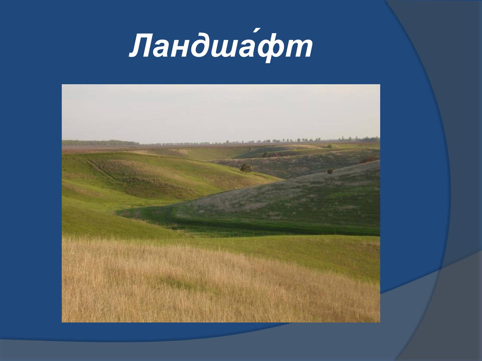 Презентація на тему «Ландшафт України» - Слайд #5