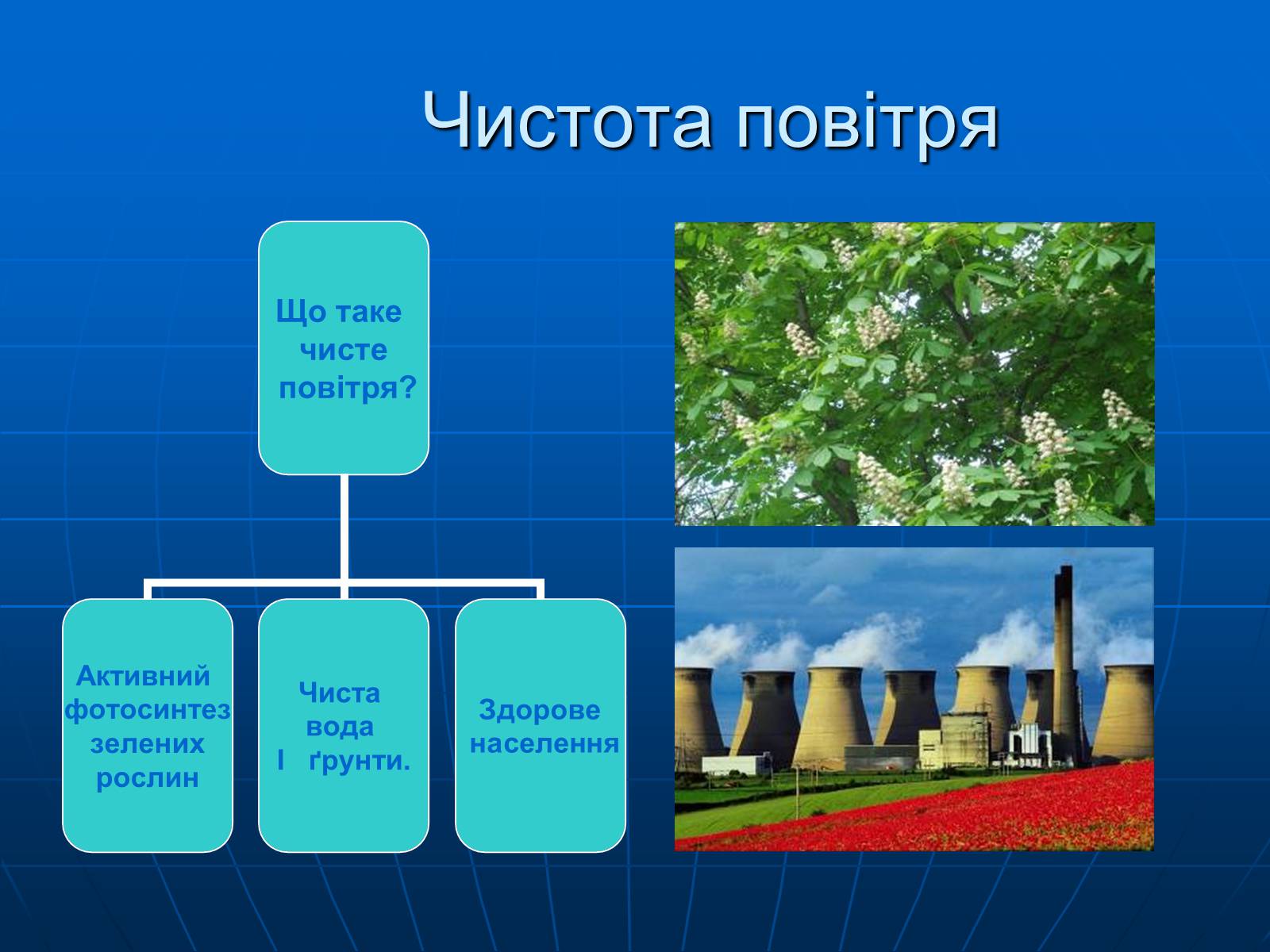 Презентація на тему «Екологічні проблеми» (варіант 2) - Слайд #3