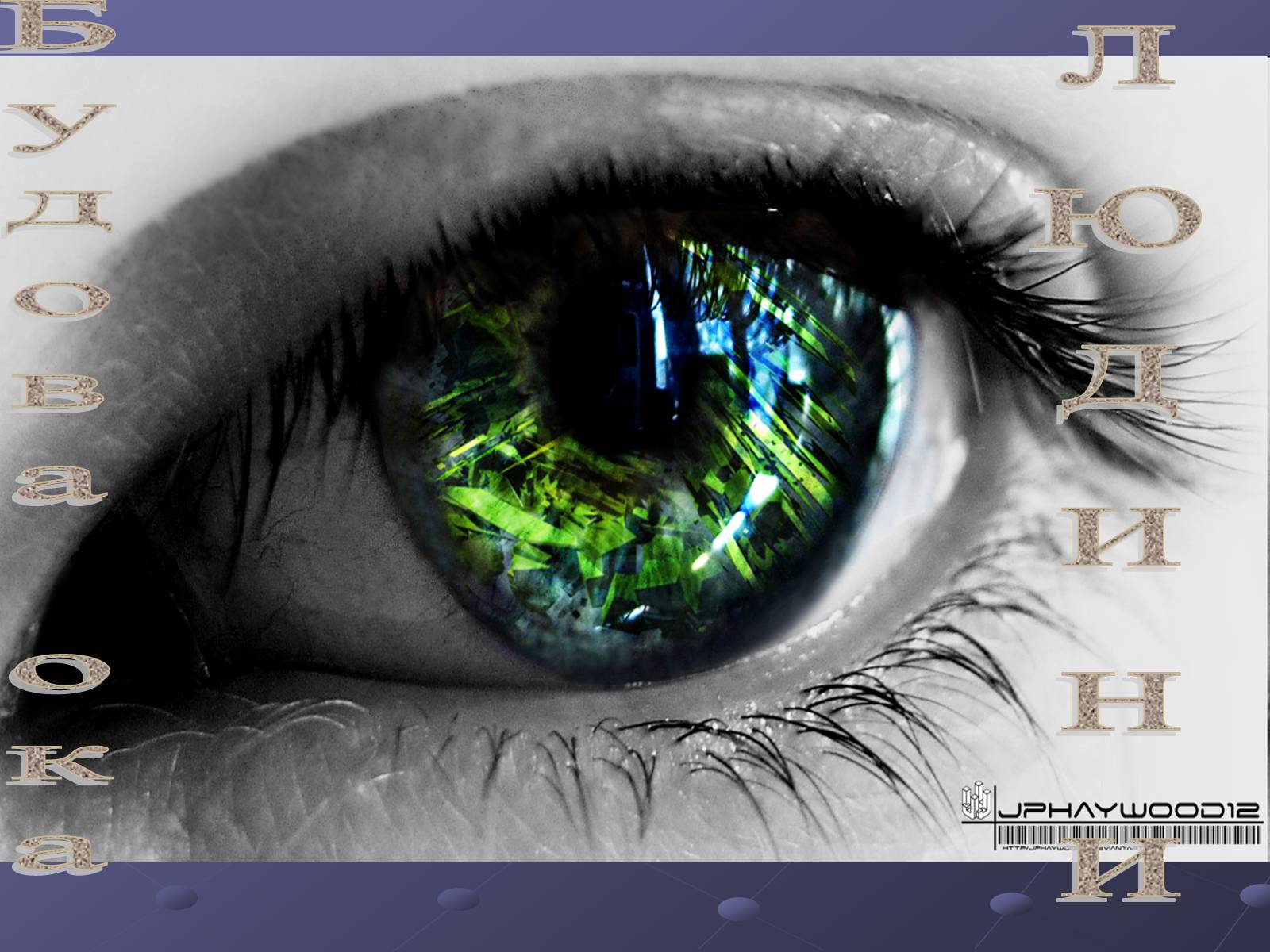 Презентація на тему «Будова ока» - Слайд #1