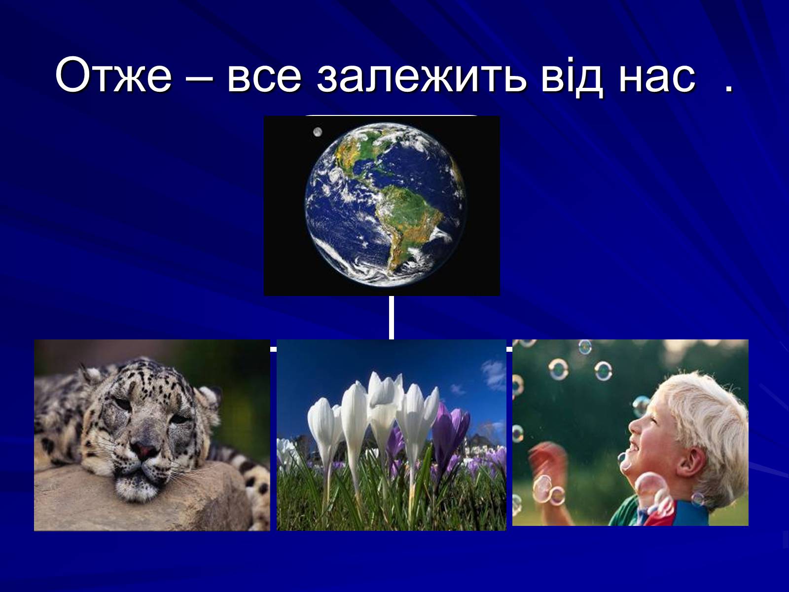 Презентація на тему «Екологічні проблеми» (варіант 2) - Слайд #12