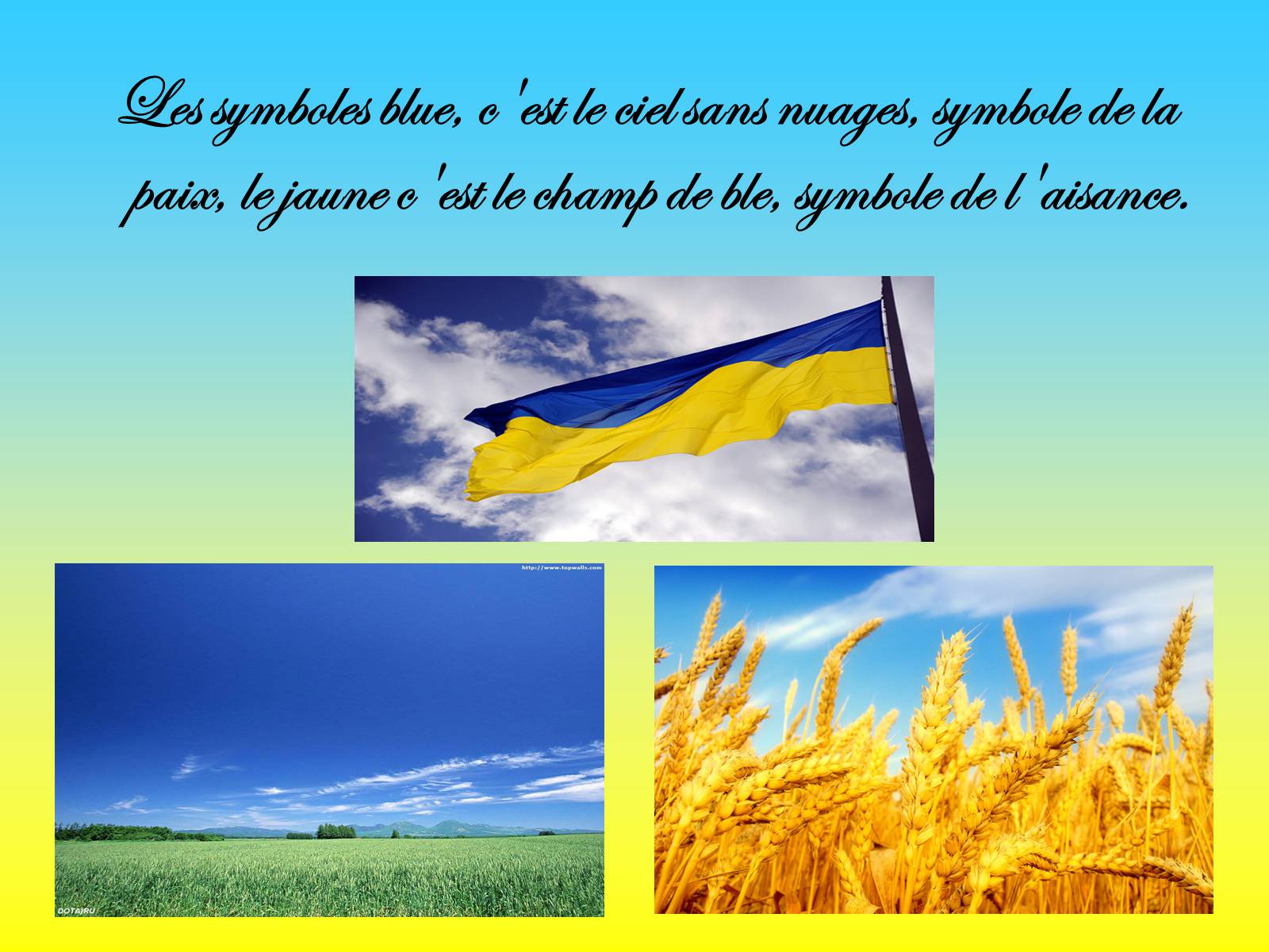 Презентація на тему «L’Ukraine» - Слайд #8