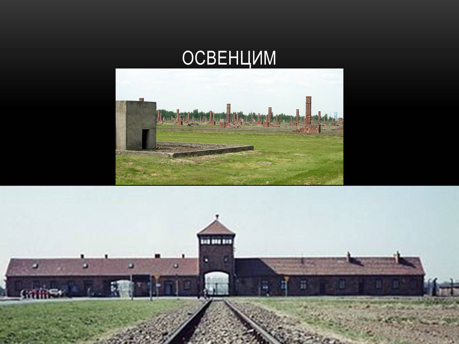 Презентація на тему «Холокост» (варіант 2) - Слайд #21