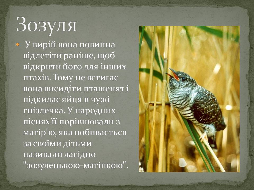 Презентація на тему «Народні символи України» (варіант 2) - Слайд #9