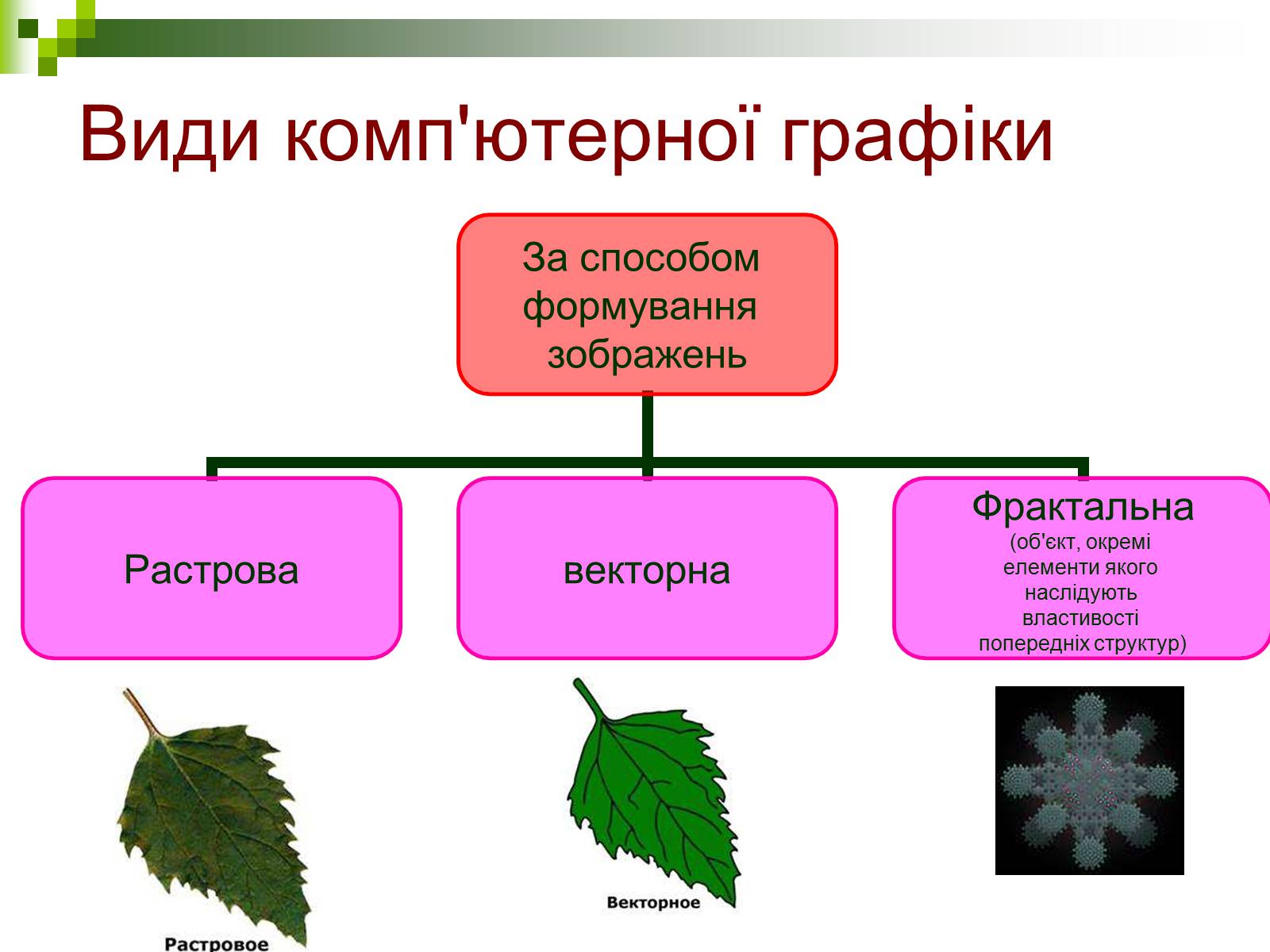 Види 3. Растровая Векторная и Фрактальная Графика. Растрова комп'ютерна графіка. Растровая Графика Векторная Графика Фрактальная Графика. Види комп'ютерної графіки.