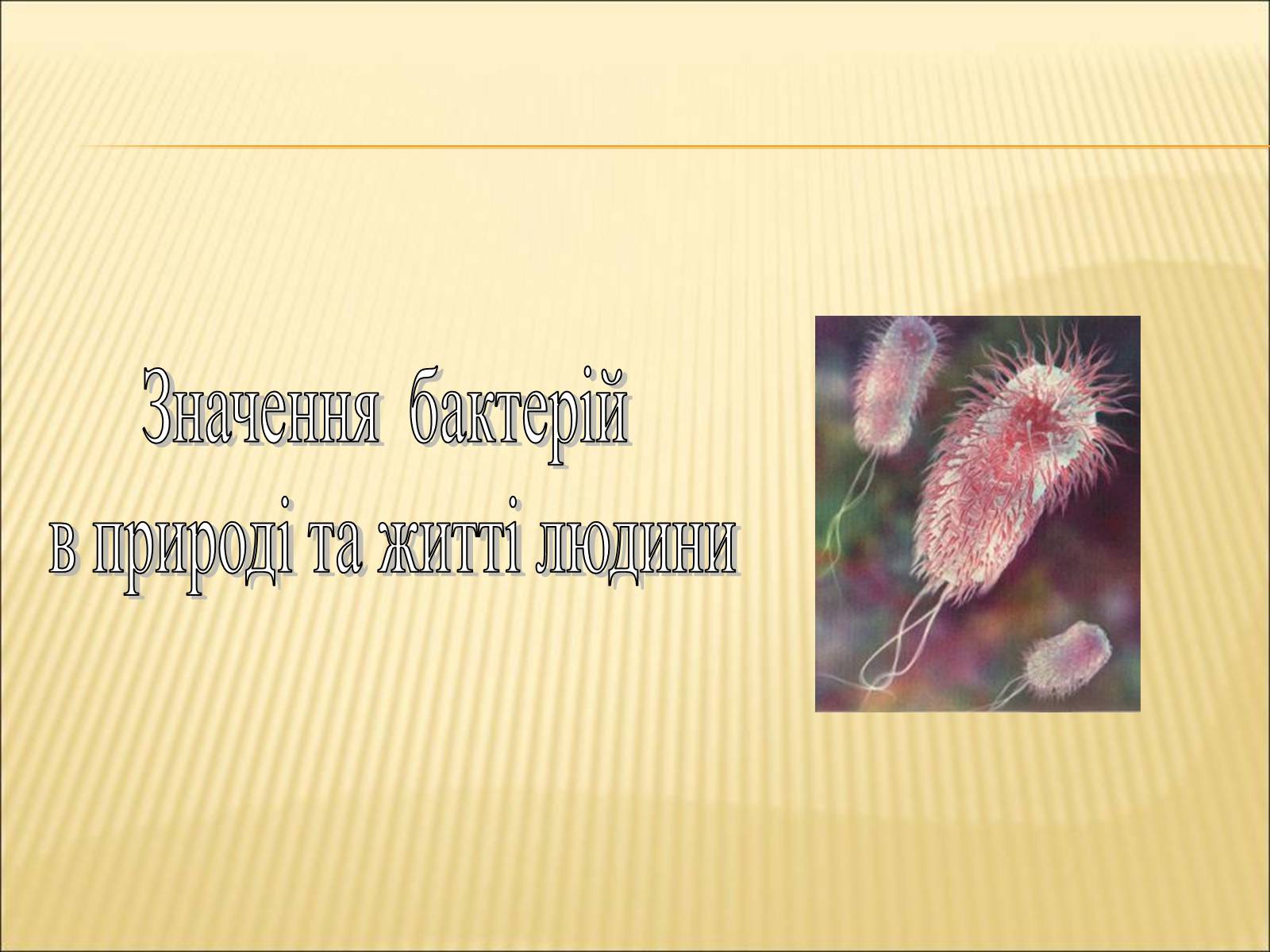 Презентація на тему «Значення бактерій в природі та житті людини» - Слайд #1